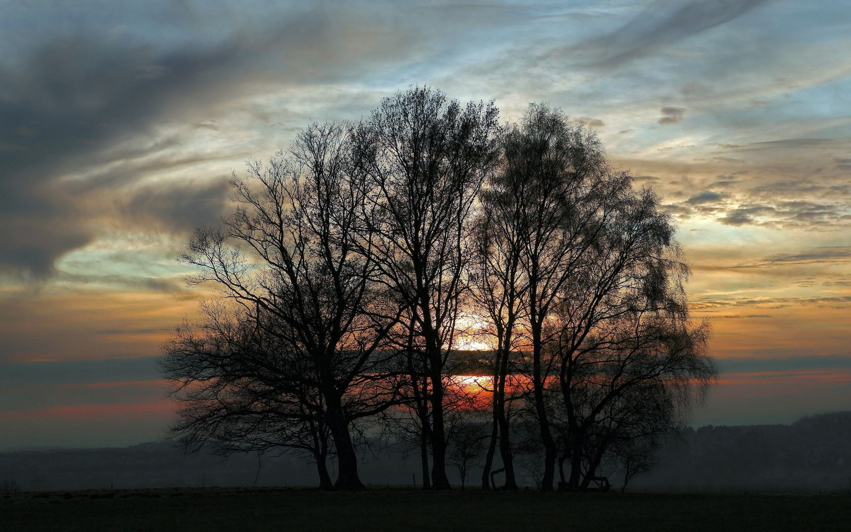 Download mobile wallpaper Evening, Sunset, Sky, Twilight, Dusk, Trees, Nature for free.