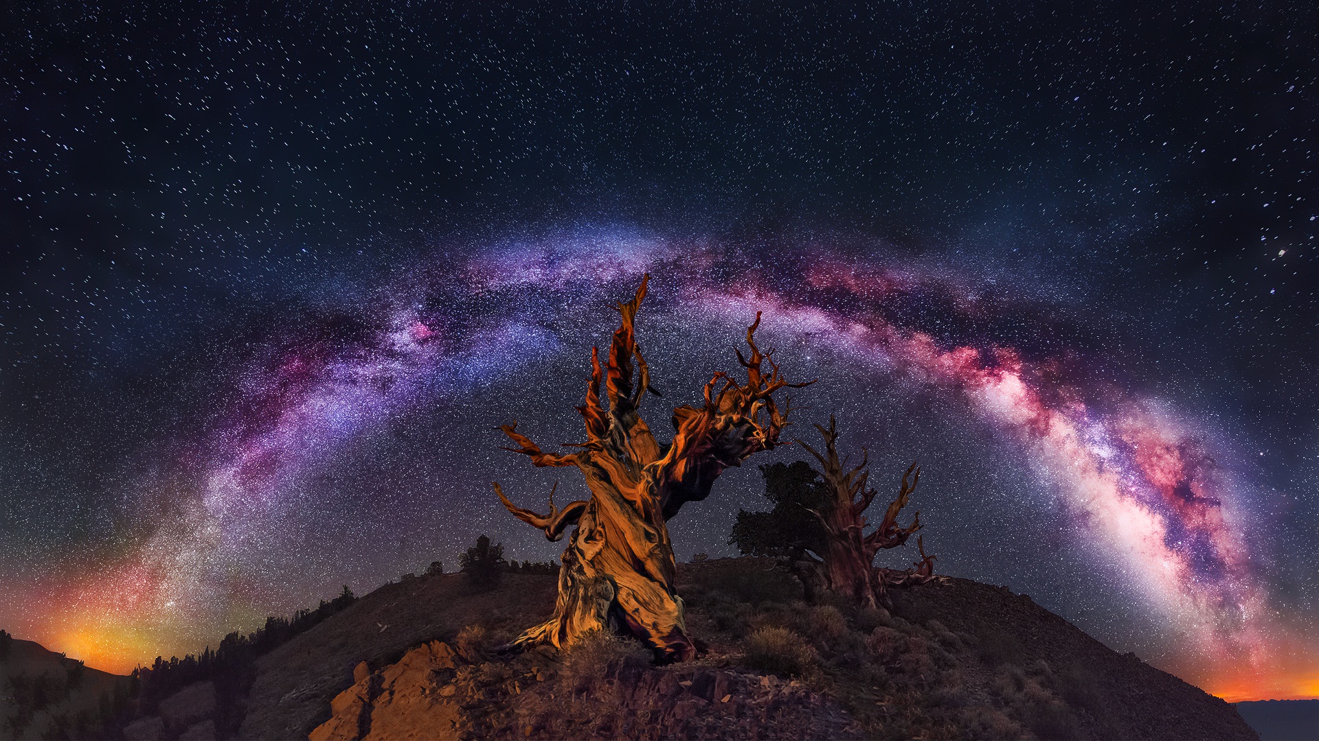802555 завантажити картинку наукова фантастика, чумацький шлях, природа, ніч, небо, зоряне небо, зірки, дерево, скручене дерево - шпалери і заставки безкоштовно