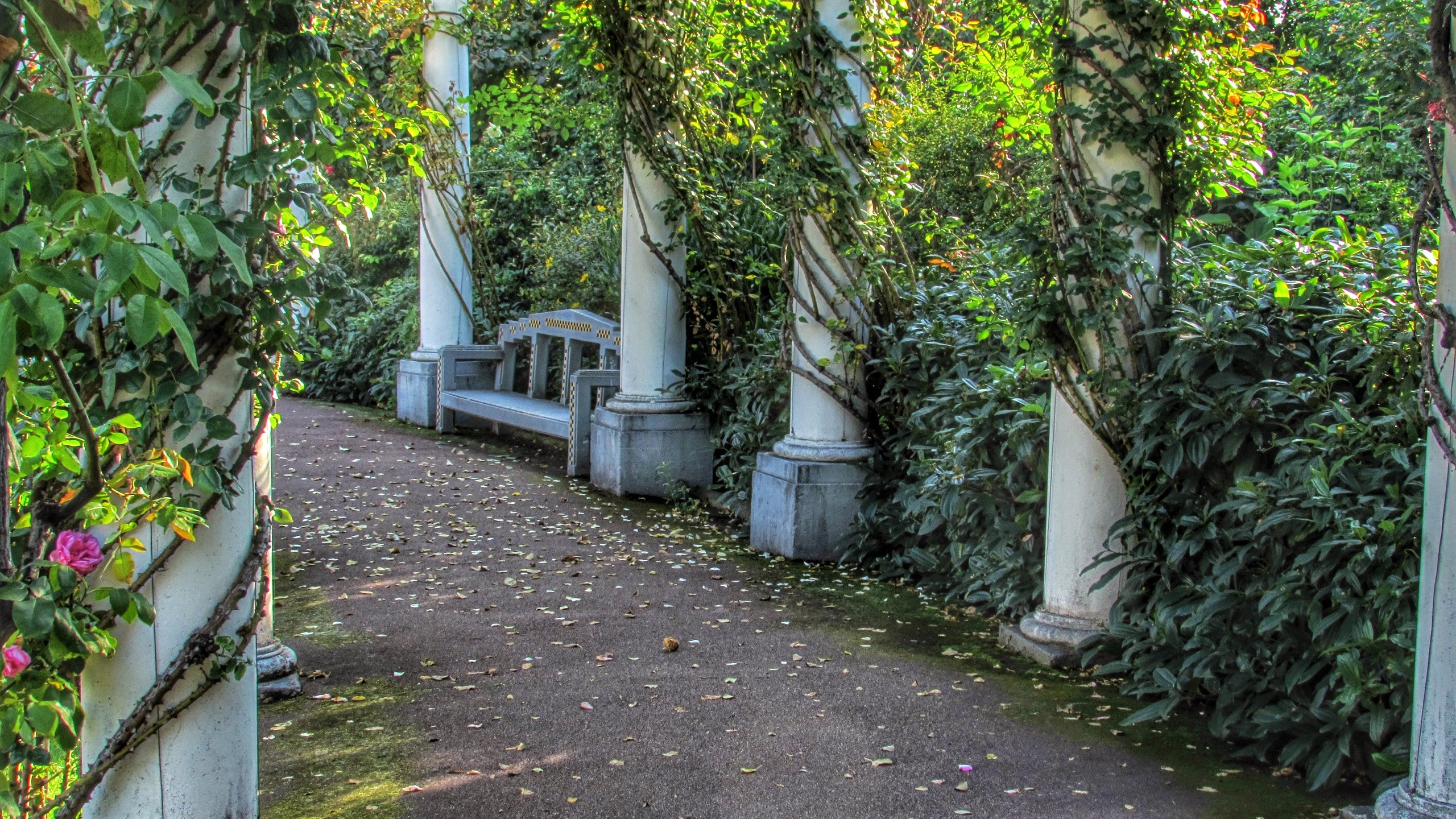 Download mobile wallpaper Vine, Flower, Path, Spring, Columns, Man Made, Greenery for free.
