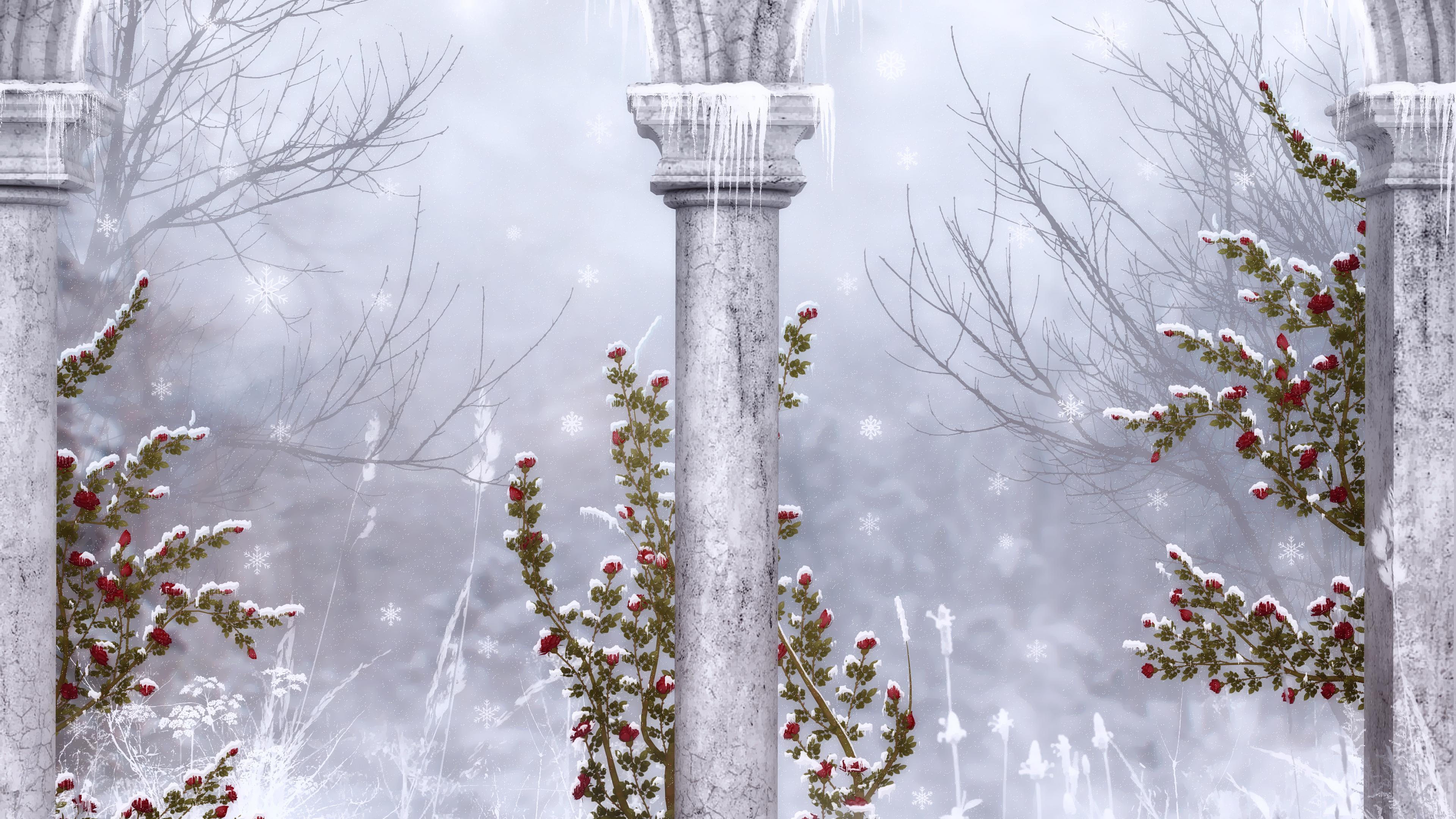 Laden Sie das Winter, Blume, Rose, Säulen, Künstlerisch, Rote Blume-Bild kostenlos auf Ihren PC-Desktop herunter