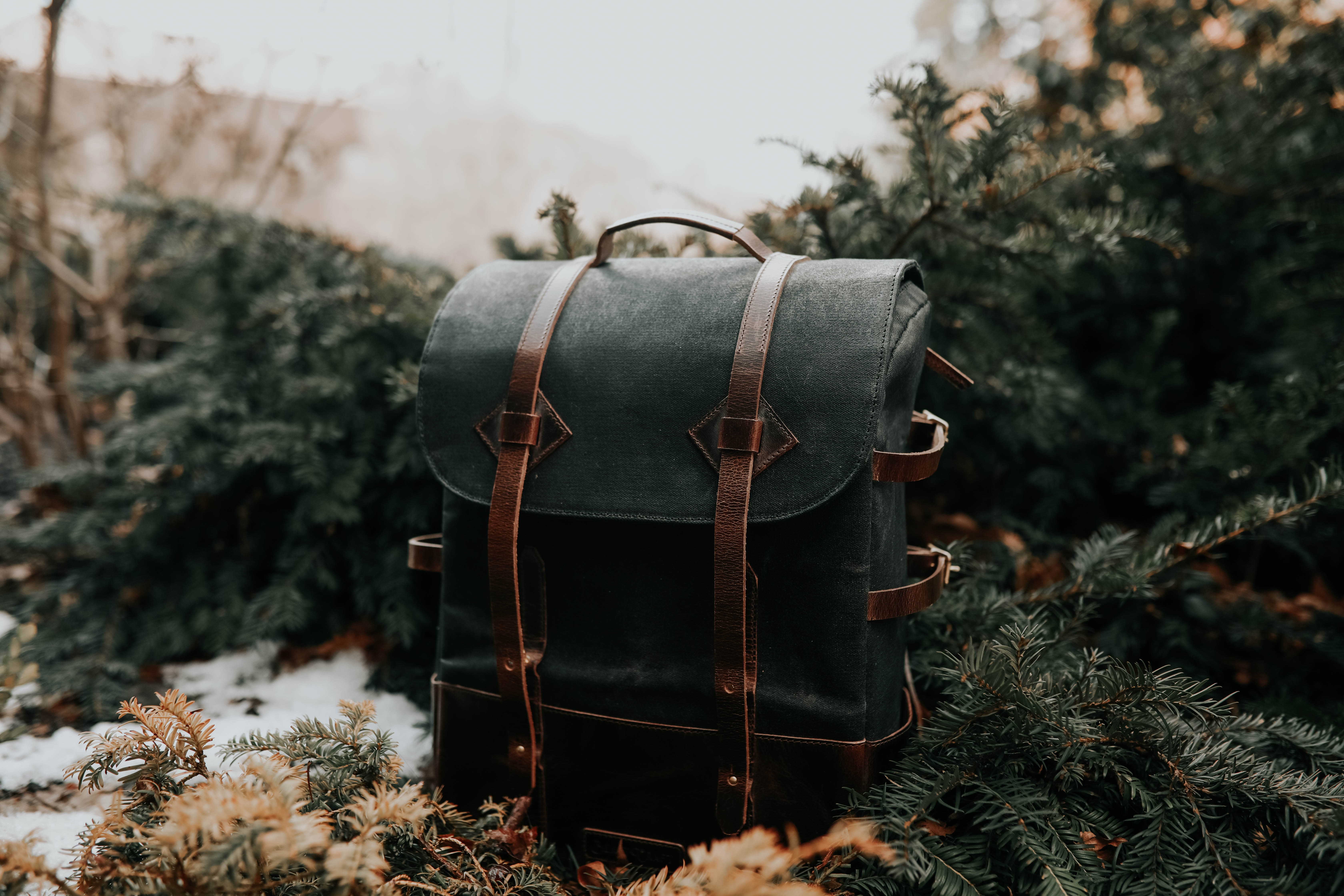 Free download wallpaper Miscellanea, Spruce, Fir, Needles, Backpack, Rucksack, Leather, Miscellaneous on your PC desktop