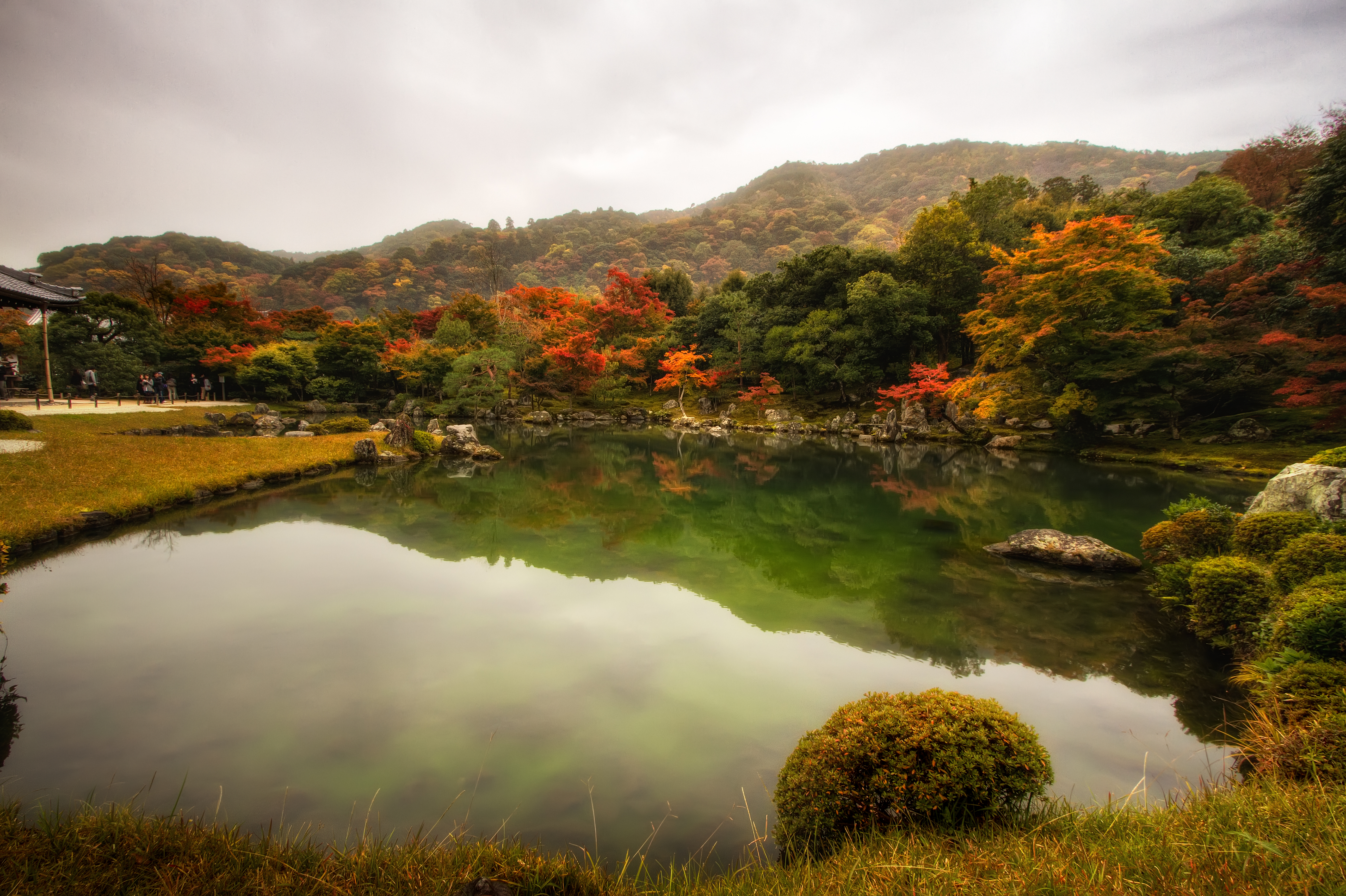 japan, man made, garden, fall, pond, tree