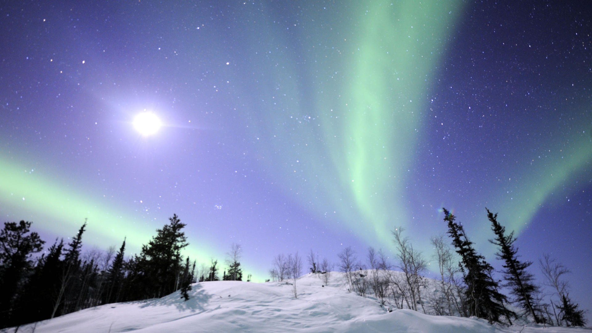 Descarga gratis la imagen Invierno, Nieve, Árbol, Aurora Boreal, Tierra/naturaleza en el escritorio de tu PC