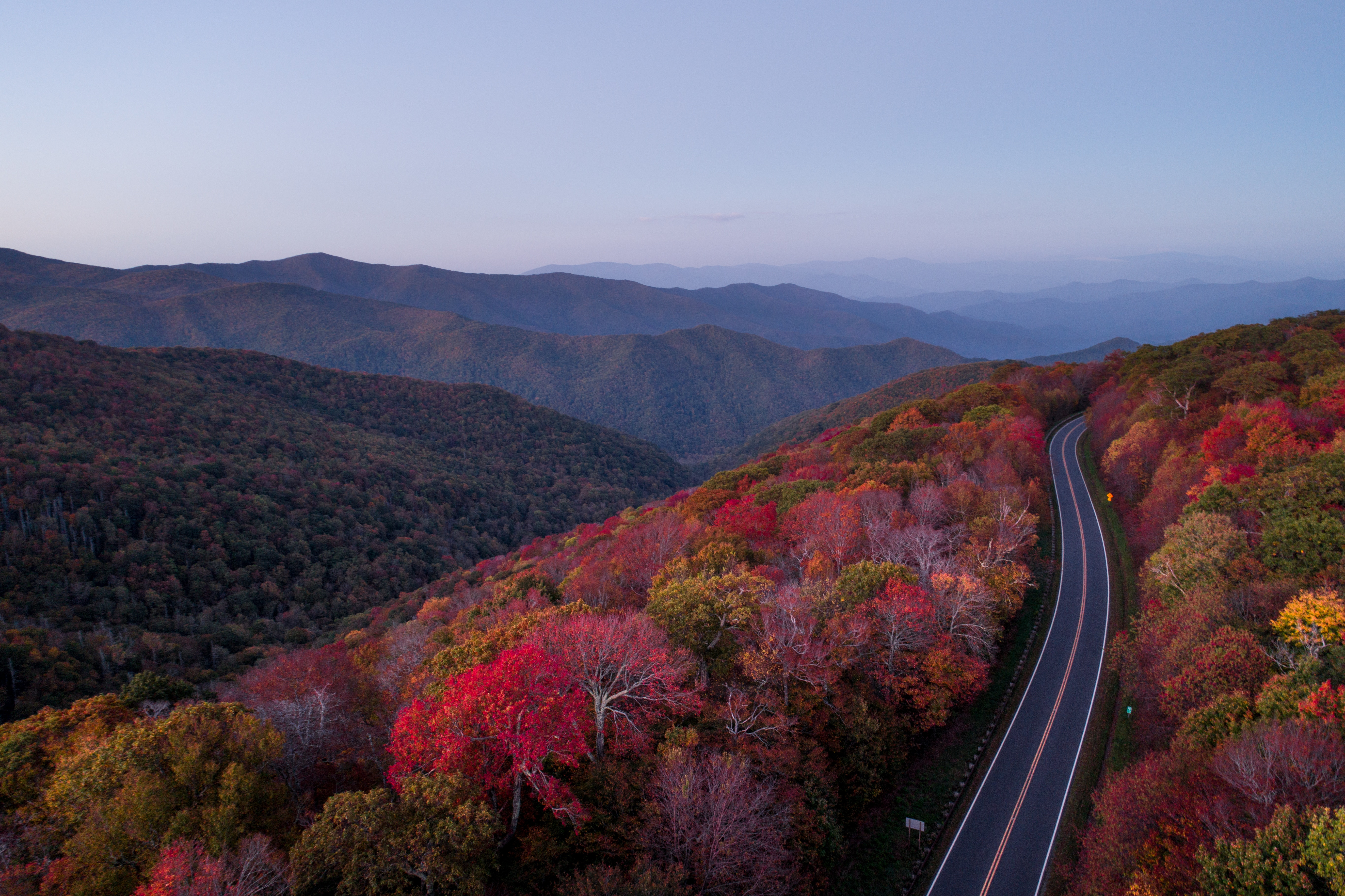 road, nature, trees, autumn 1080p
