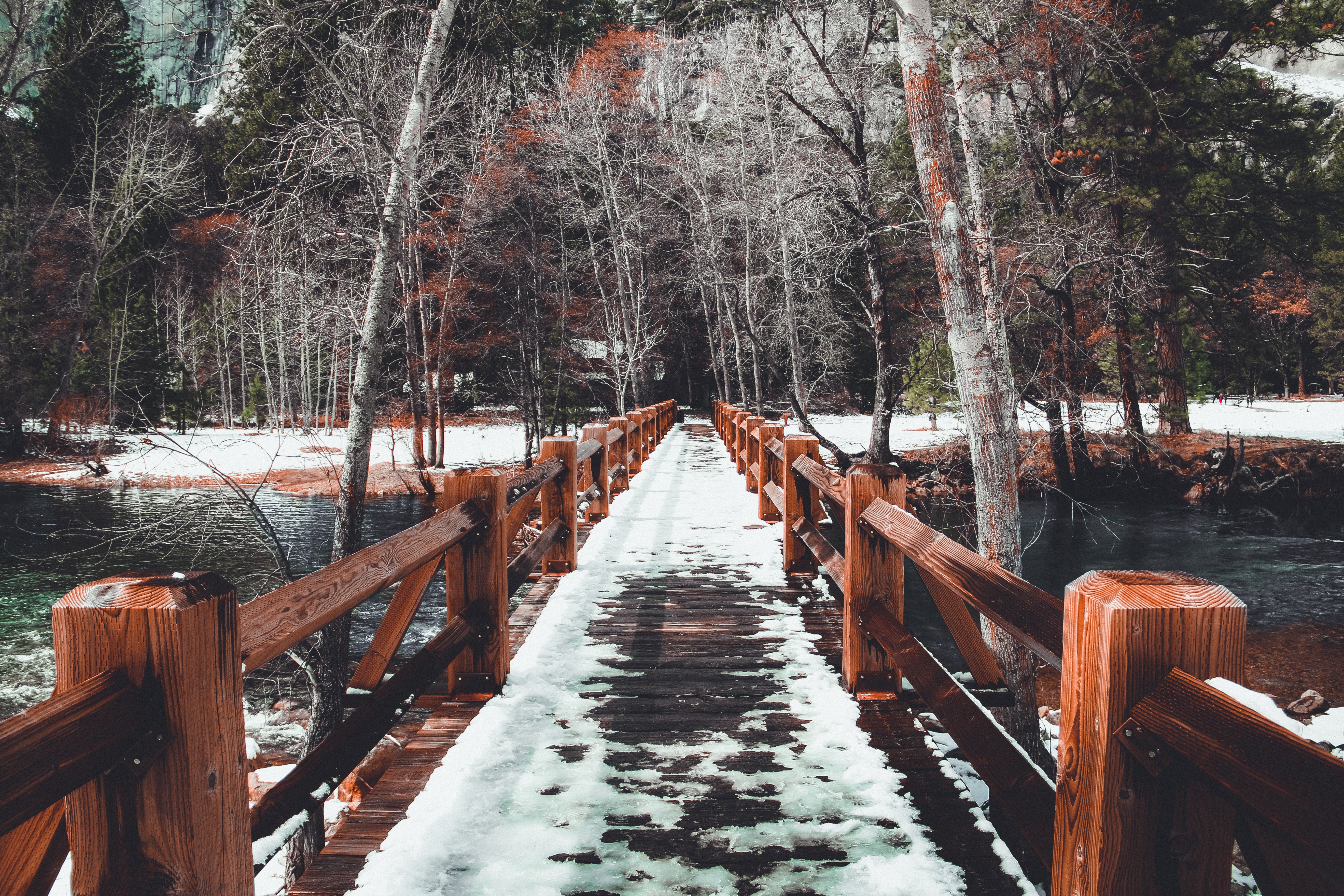 116573 descargar imagen invierno, naturaleza, árboles, nieve, puente, primavera: fondos de pantalla y protectores de pantalla gratis