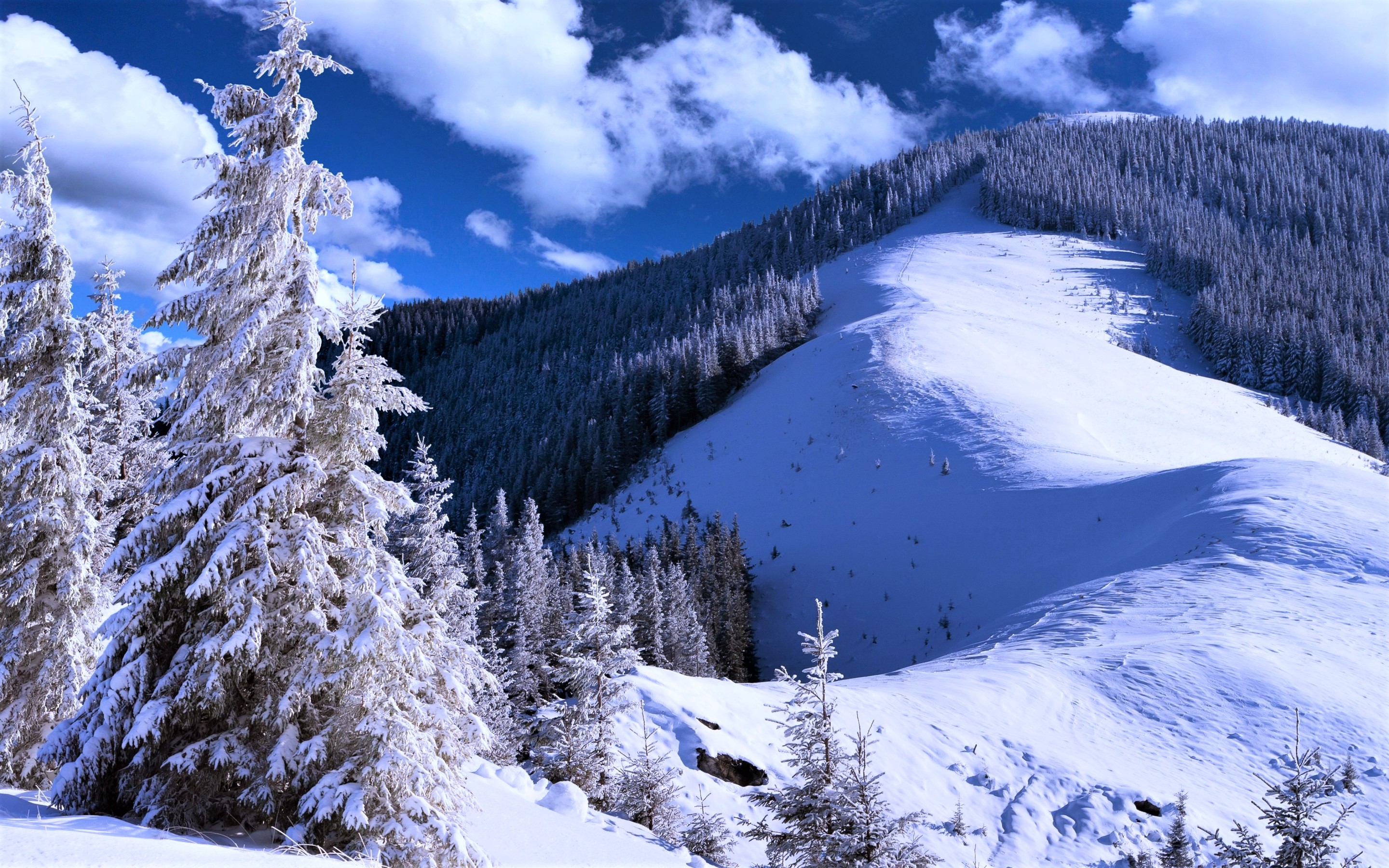 Free download wallpaper Winter, Snow, Mountain, Forest, Earth on your PC desktop