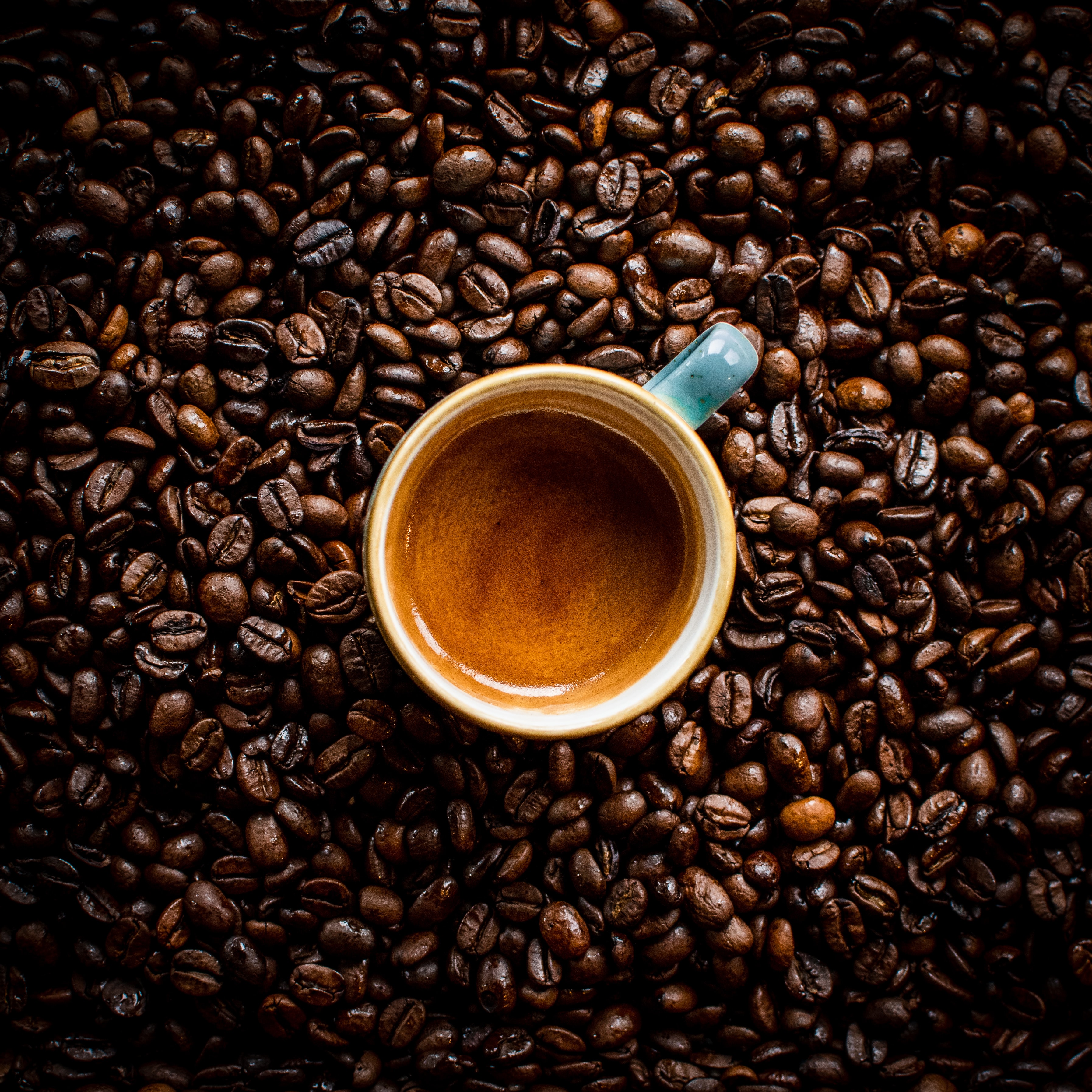 food, coffee, drink, coffee beans, cup, brown, beverage HD wallpaper