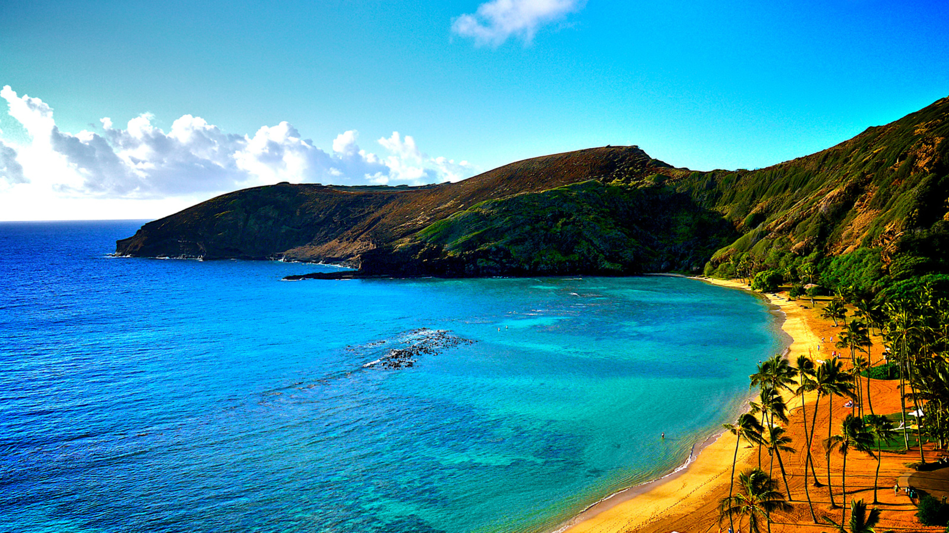 Скачать картинку Пляж, Пальмы, Гора, Океан, Синий, Гавайи, Береговая Линия, Земля/природа в телефон бесплатно.