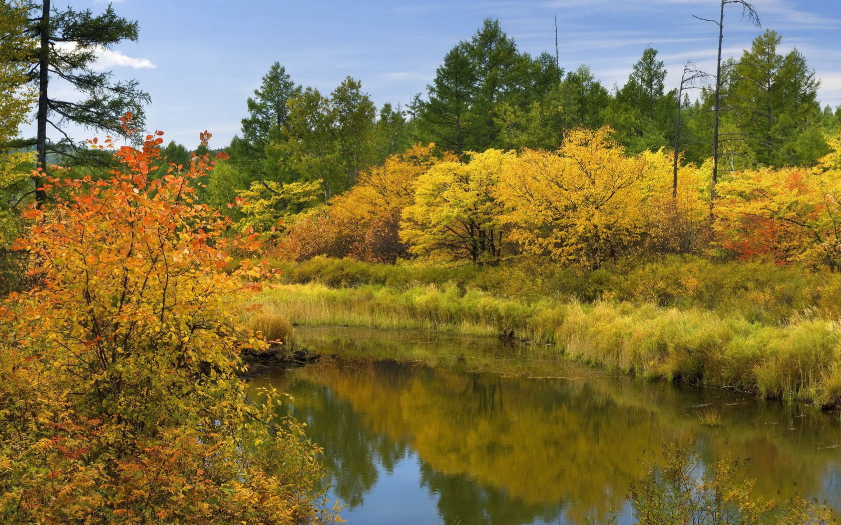 Скачать обои бесплатно Кусты, Отражение, Деревья, Природа, Река, Осень картинка на рабочий стол ПК