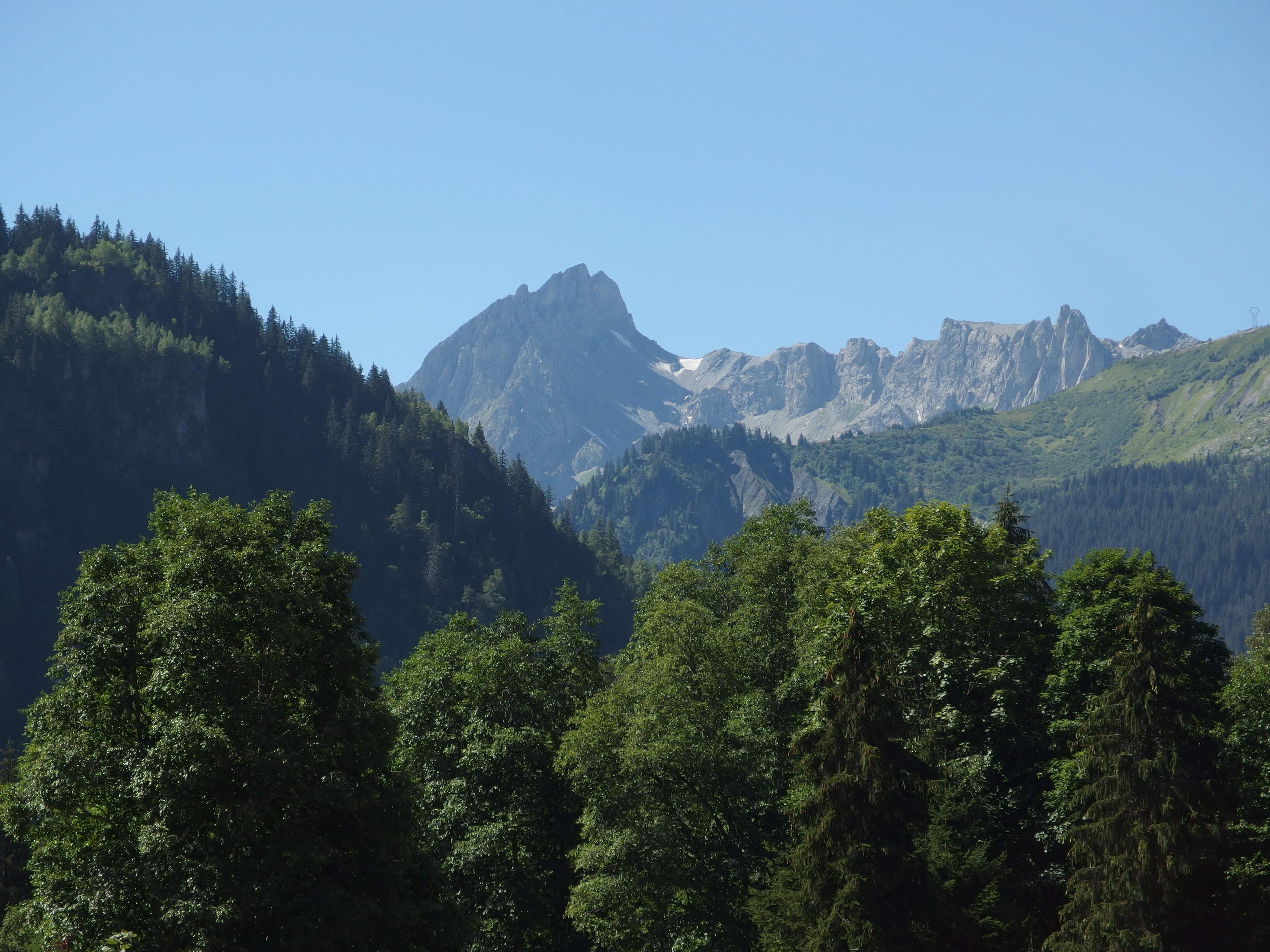 Download mobile wallpaper Fog, Top, Vertex, Mountain, Trees, Landscape, Nature for free.