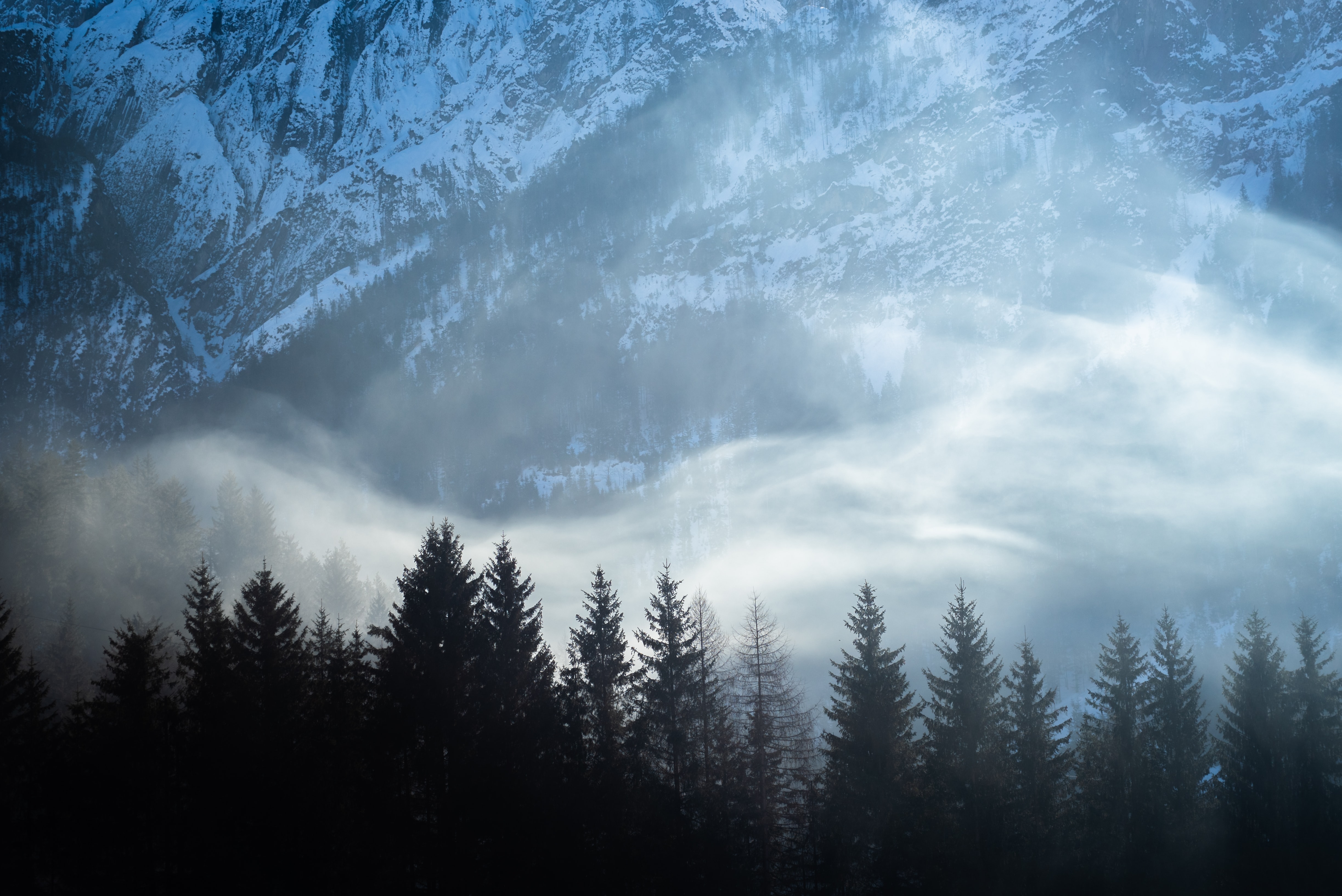 mountains, landscape, nature, snow, fir trees, fog Full HD