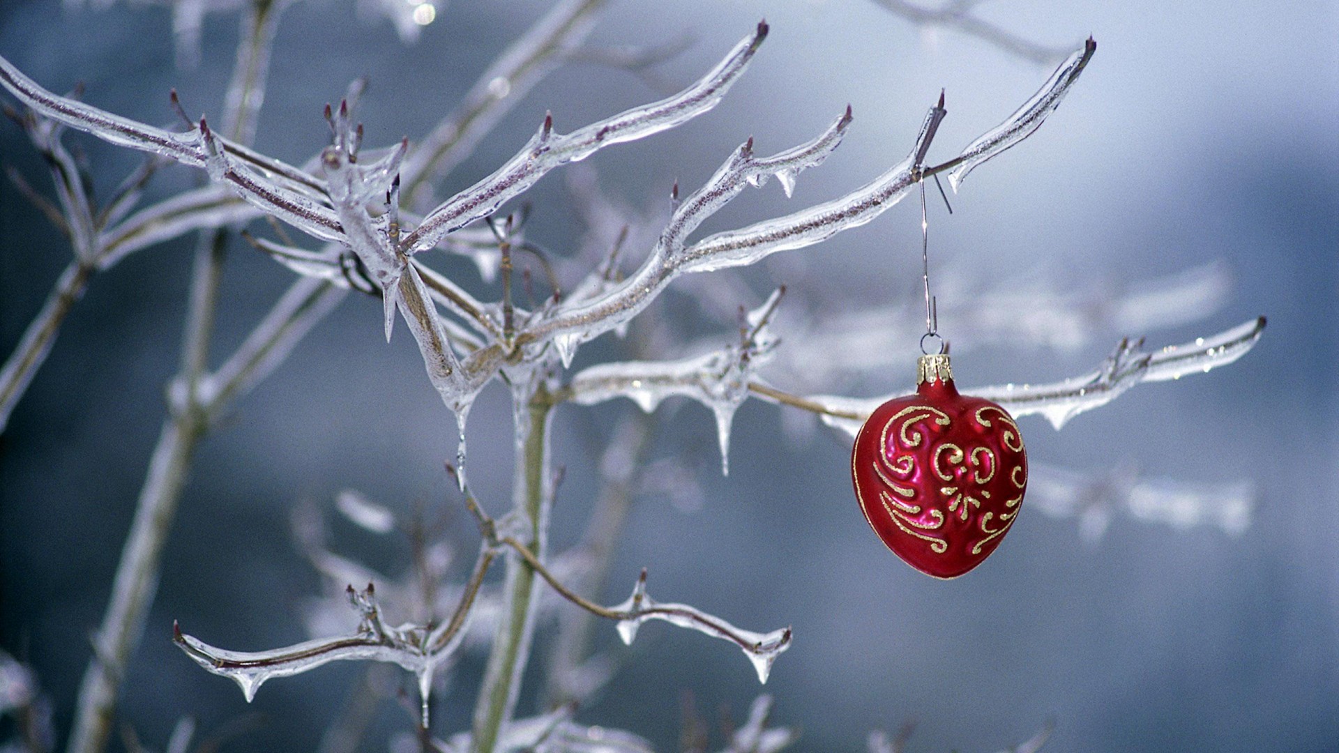 Free download wallpaper Winter, Ice, Christmas, Holiday, Frozen, Christmas Ornaments on your PC desktop
