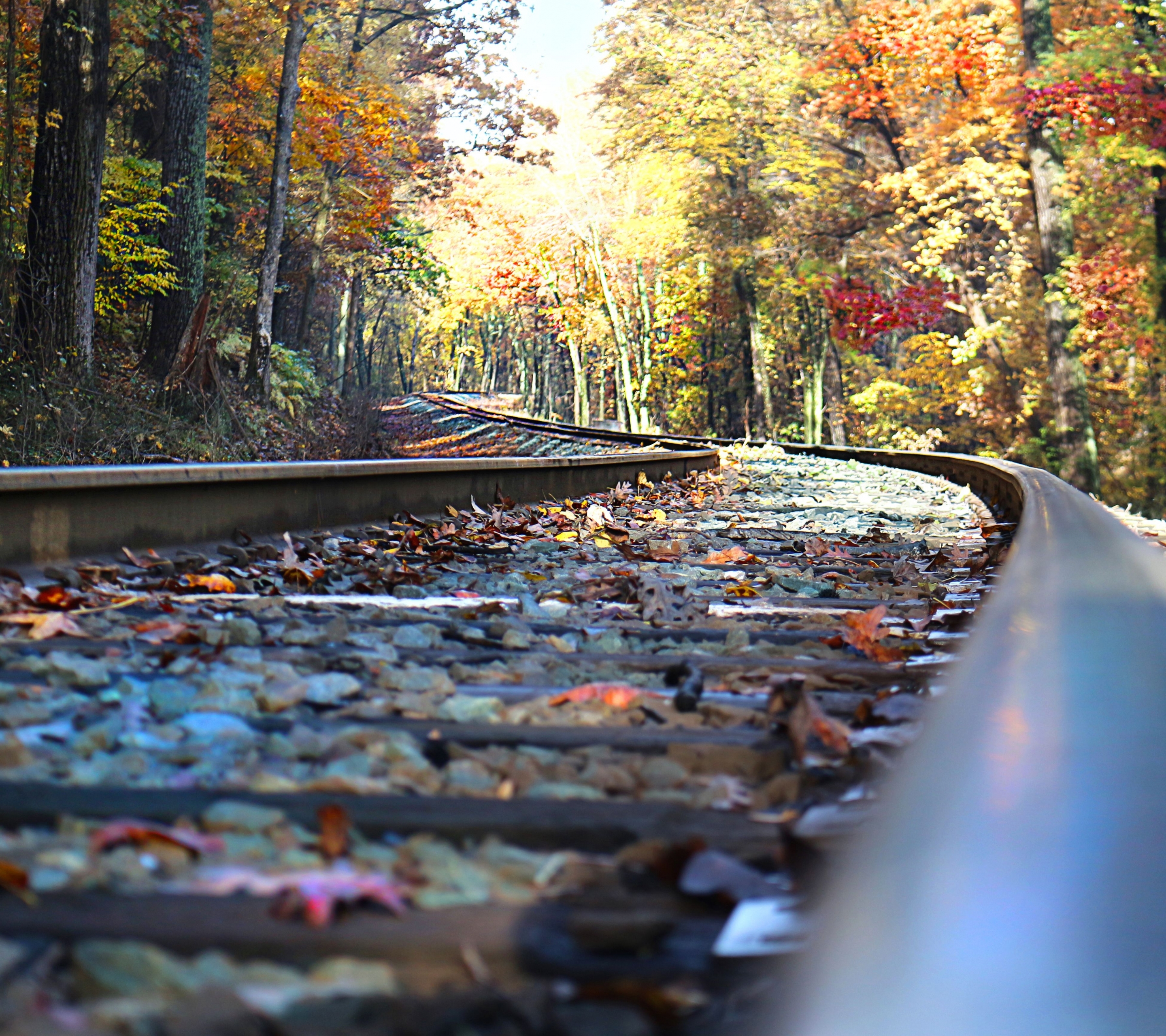 Free download wallpaper Tree, Fall, Railroad, Man Made on your PC desktop
