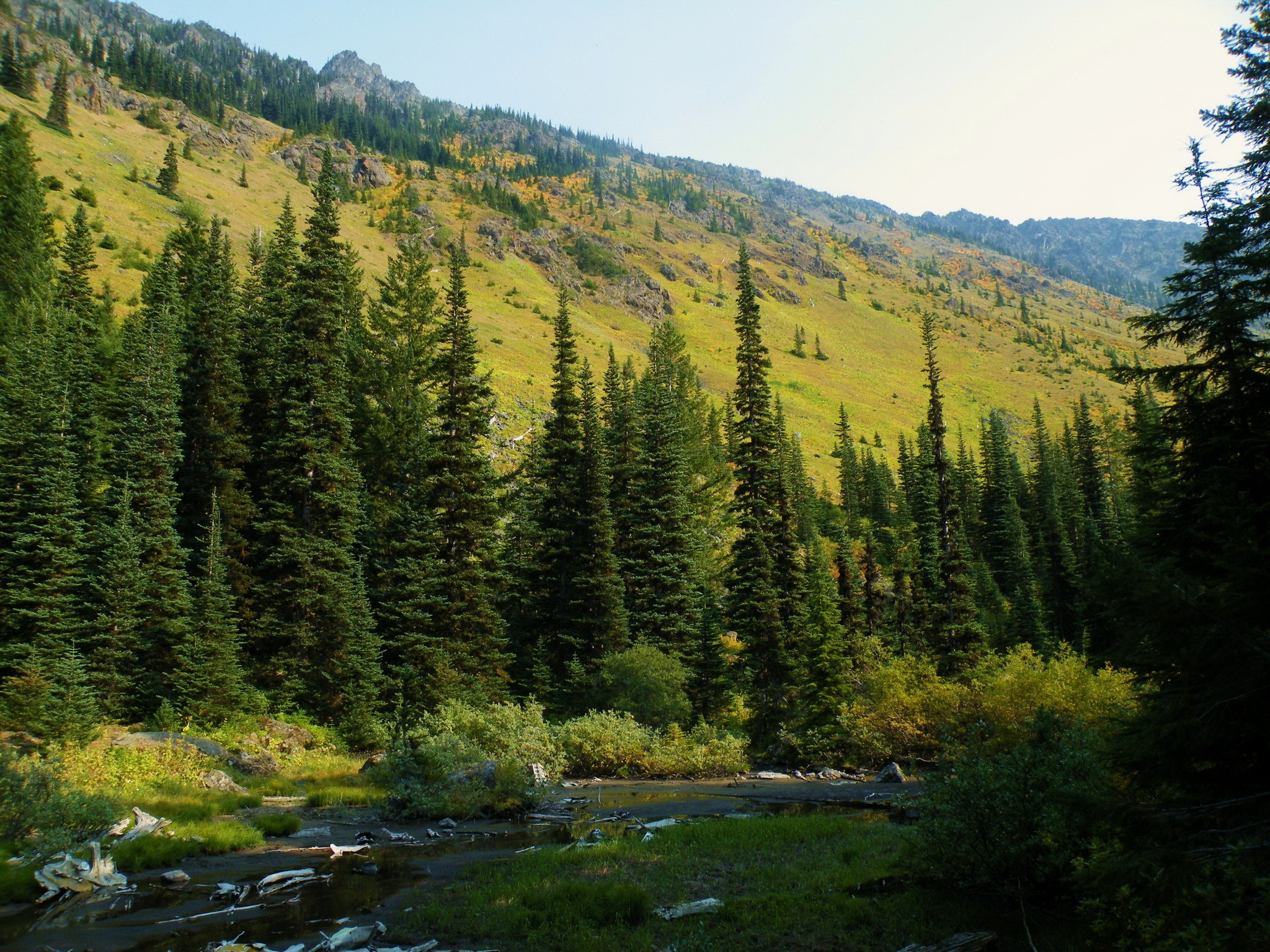 Laden Sie das Washington, Mt Baker Snoqualmie National, Natur, Wald, Usa, Flüsse-Bild kostenlos auf Ihren PC-Desktop herunter