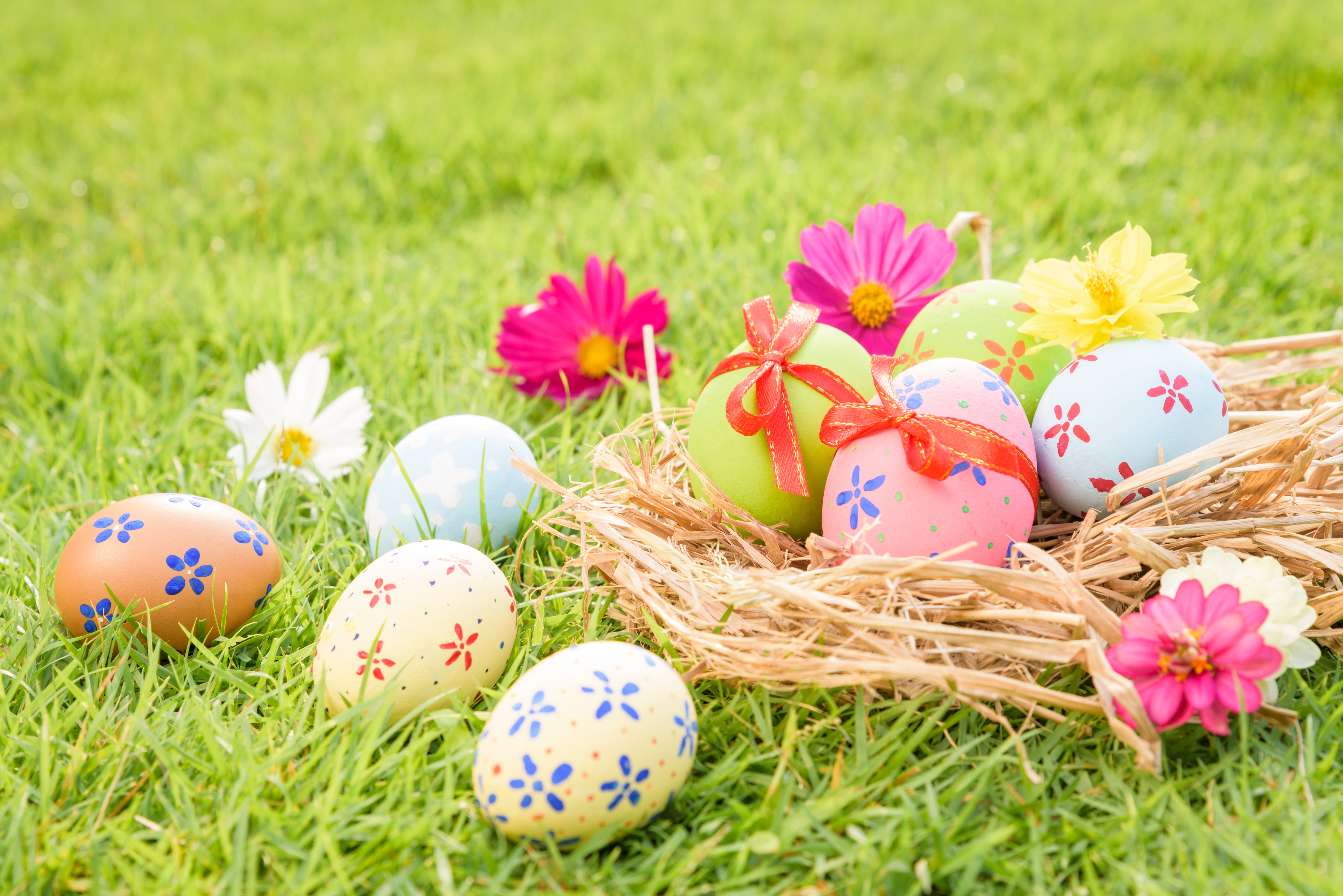 Descarga gratis la imagen Pascua, Flor, Día Festivo, Huevo De Pascua en el escritorio de tu PC