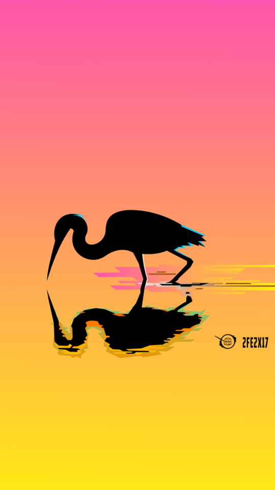 1162538 Hintergrundbild herunterladen tiere, ibis, spiegelung, betrachtung, vogel, wasser, bunt, minimalistisch, vögel - Bildschirmschoner und Bilder kostenlos