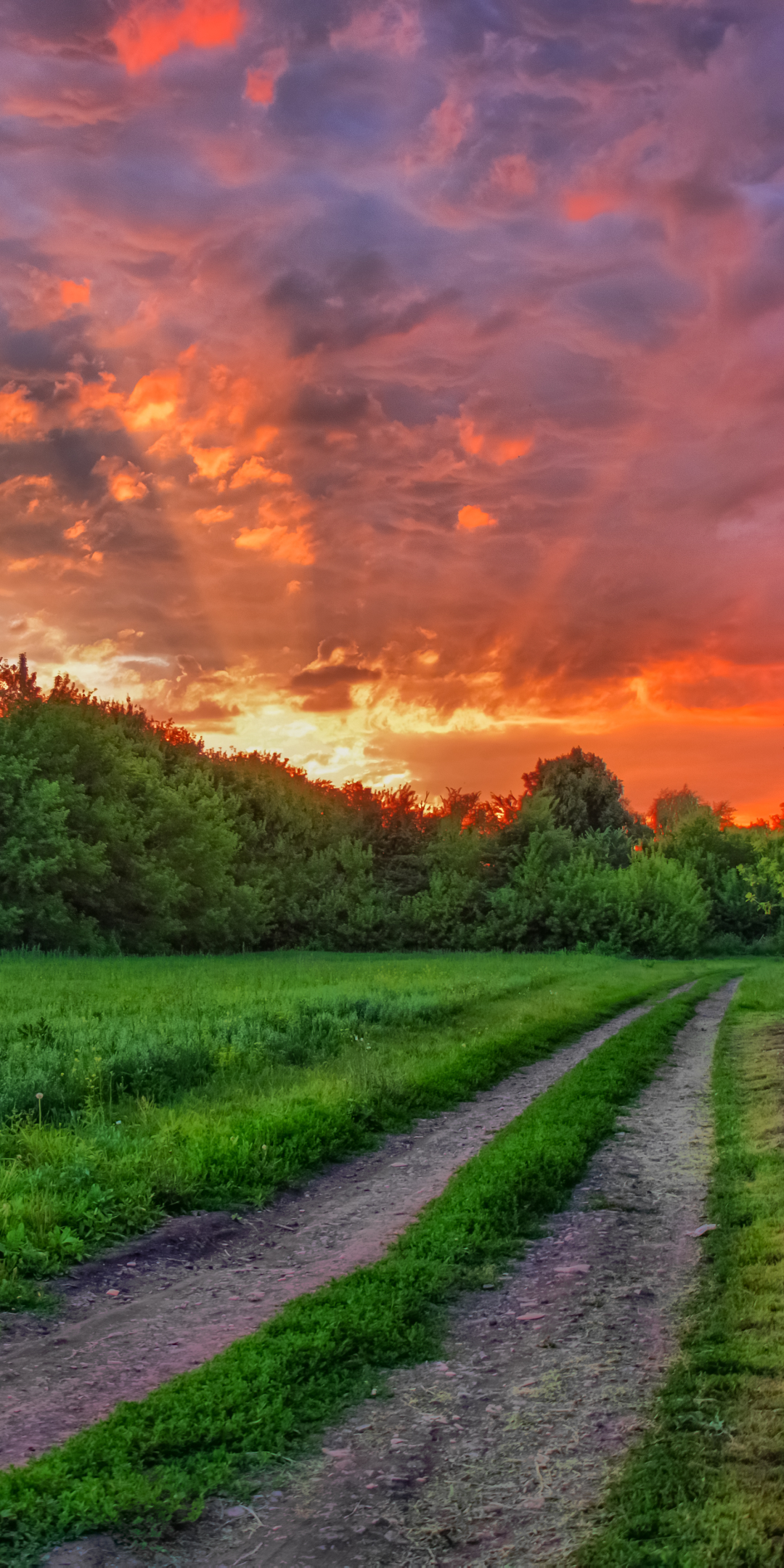 Скачать картинку Дорога, Дорожка, Земля/природа, Закат Солнца в телефон бесплатно.