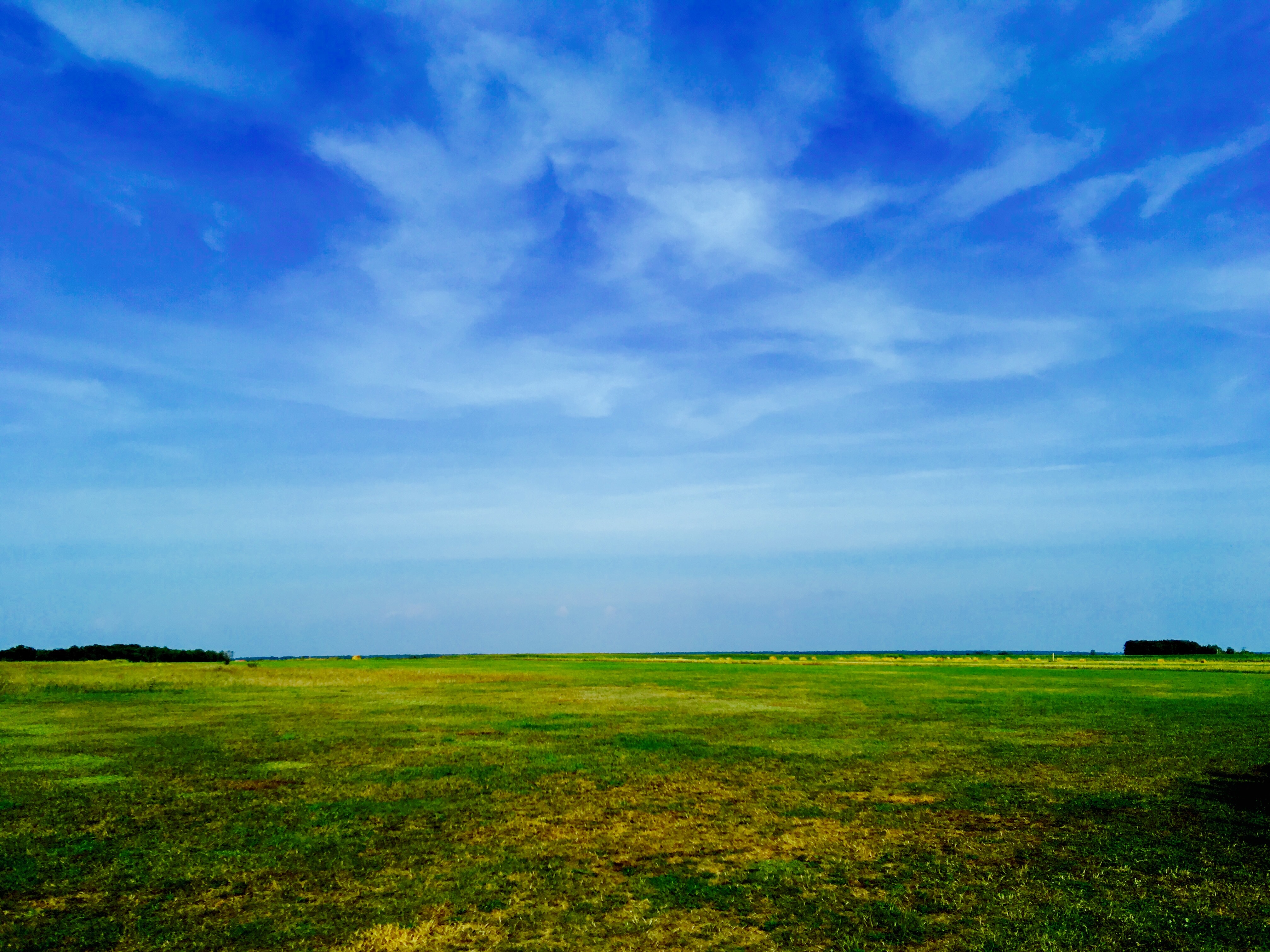 Download mobile wallpaper Summer, Field, Grass, Sky, Nature for free.