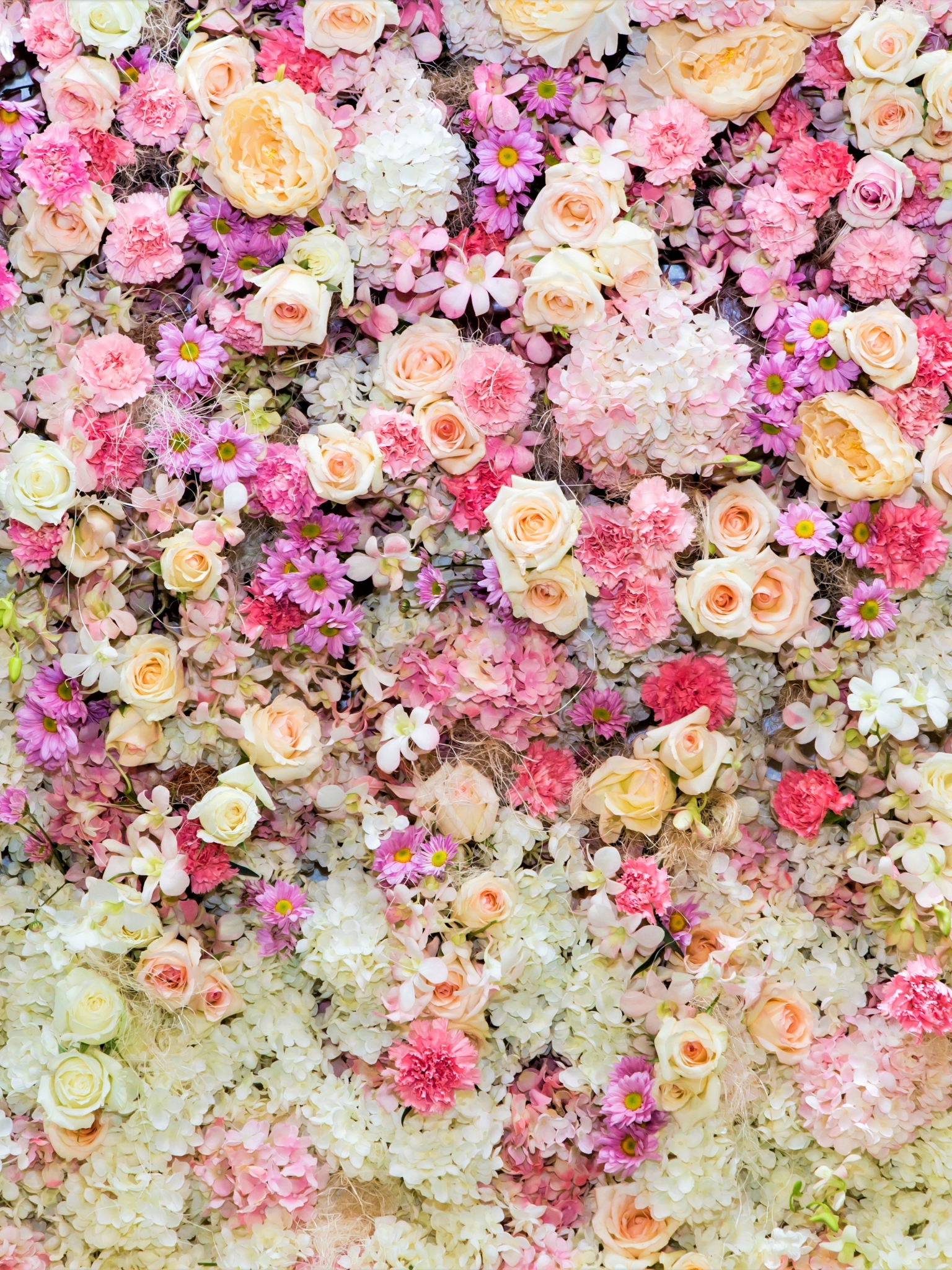 Завантажити шпалери безкоштовно Квітка, Роза, Земля, Півонія, Біла Квітка, Фіолетова Квітка, Рожева Квітка, Дейзі, Флауерзи картинка на робочий стіл ПК