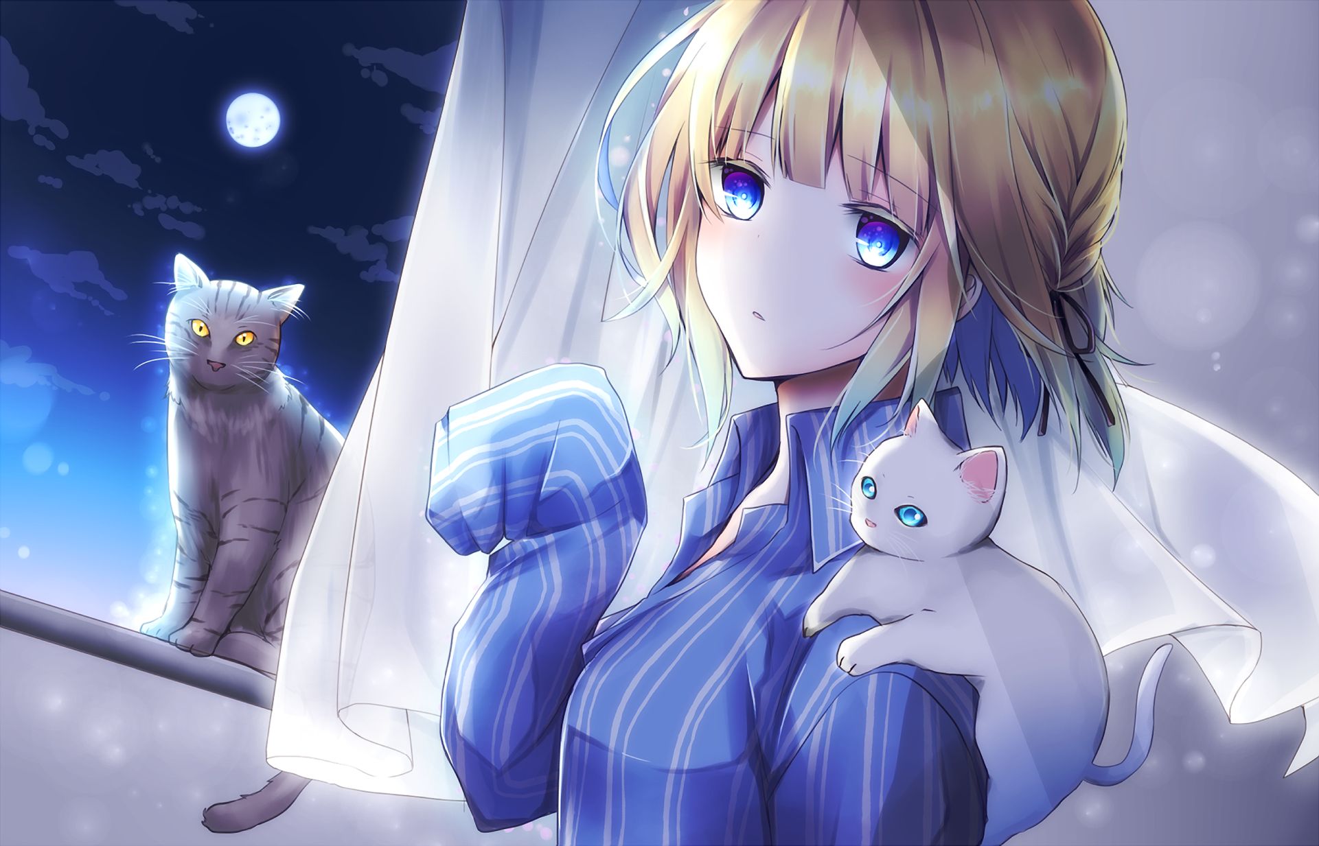 Baixe gratuitamente a imagem Anime, Gato, Original na área de trabalho do seu PC