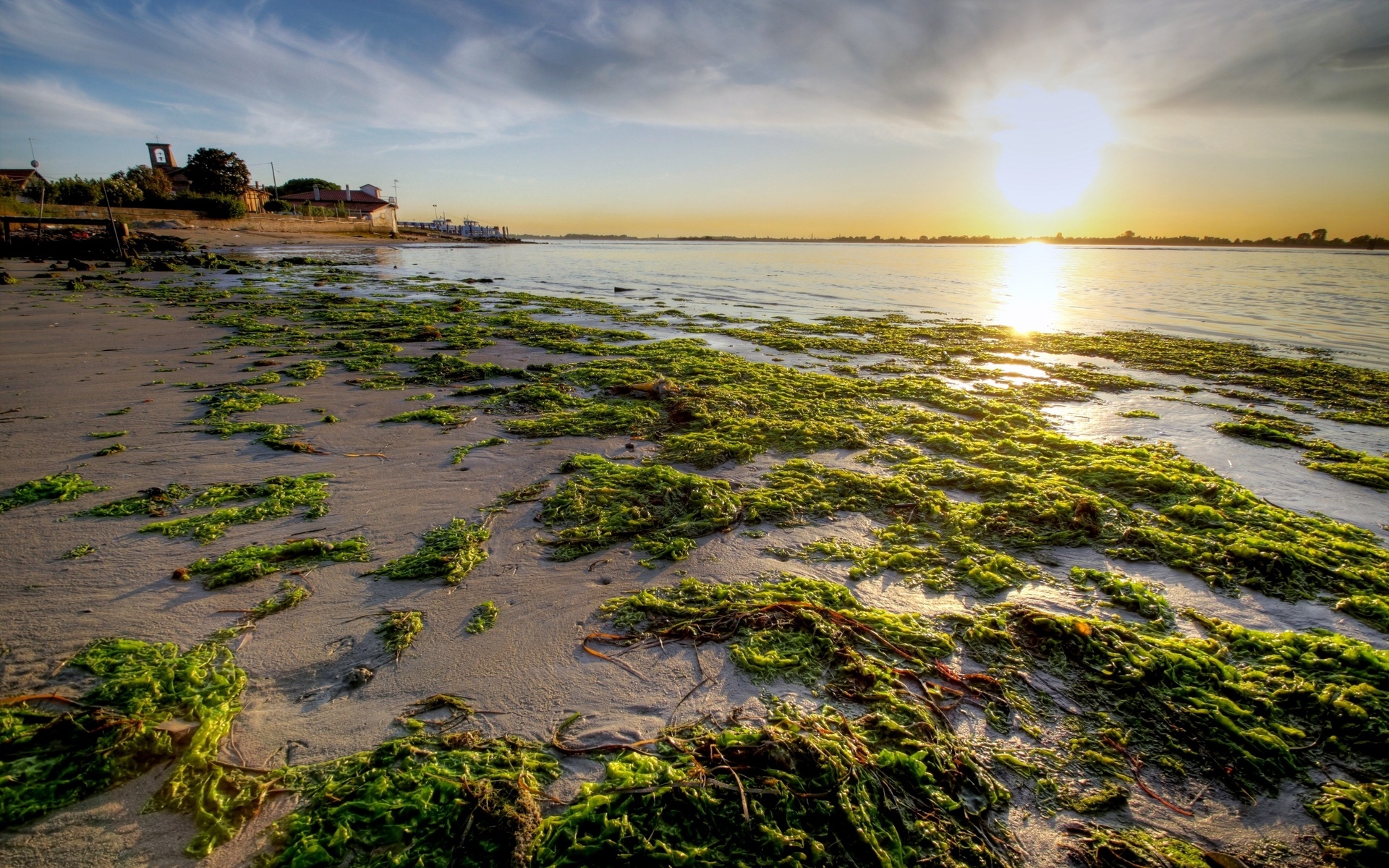 Descarga gratuita de fondo de pantalla para móvil de Playa, Tierra/naturaleza.