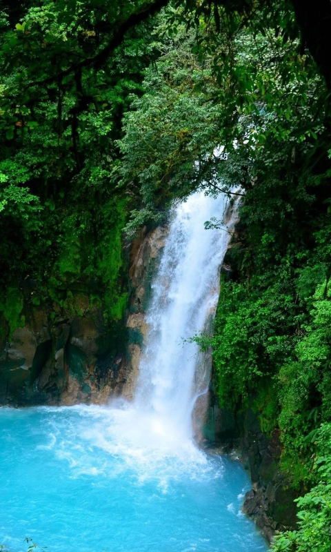 Download mobile wallpaper Waterfalls, Waterfall, Forest, Tree, Leaf, Earth for free.