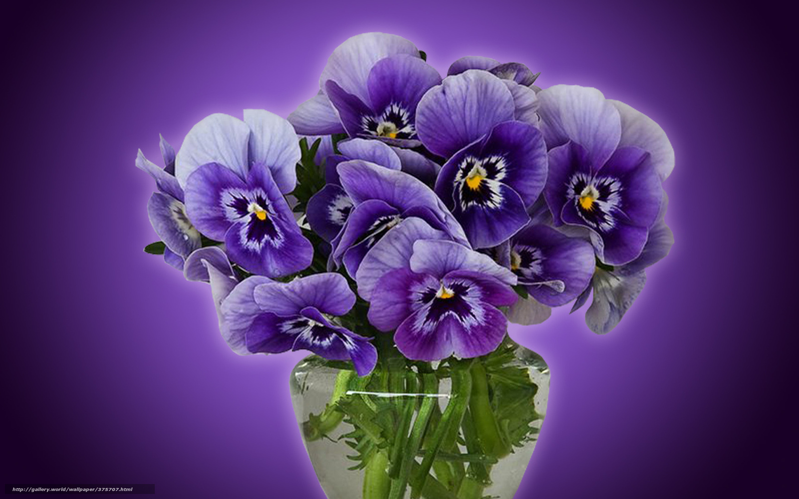 Завантажити шпалери безкоштовно Квітка, Ваза, Фіолетова Квітка, Створено Людиною, Пансі картинка на робочий стіл ПК