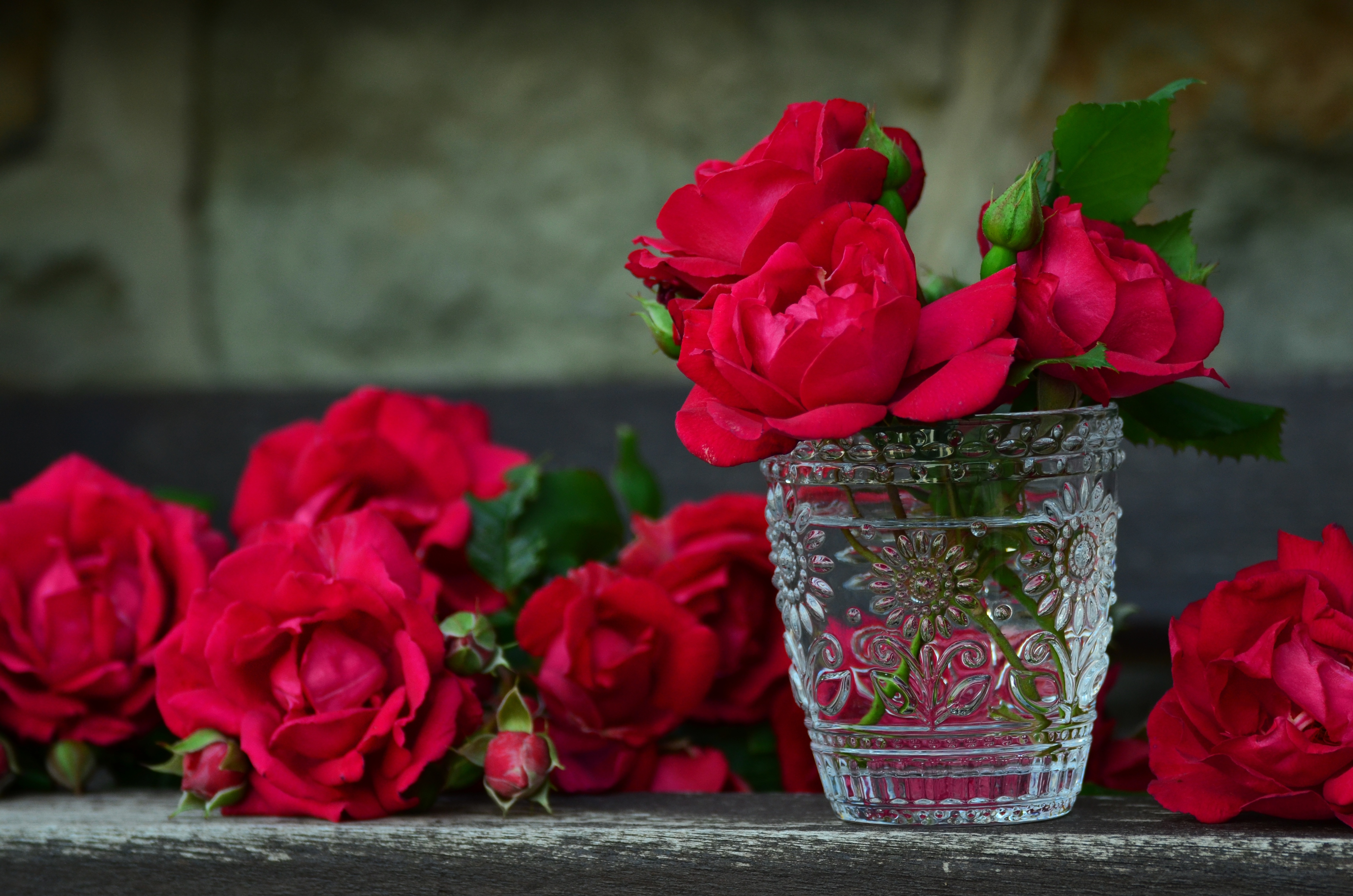 vase, flowers, roses, petals, bouquet