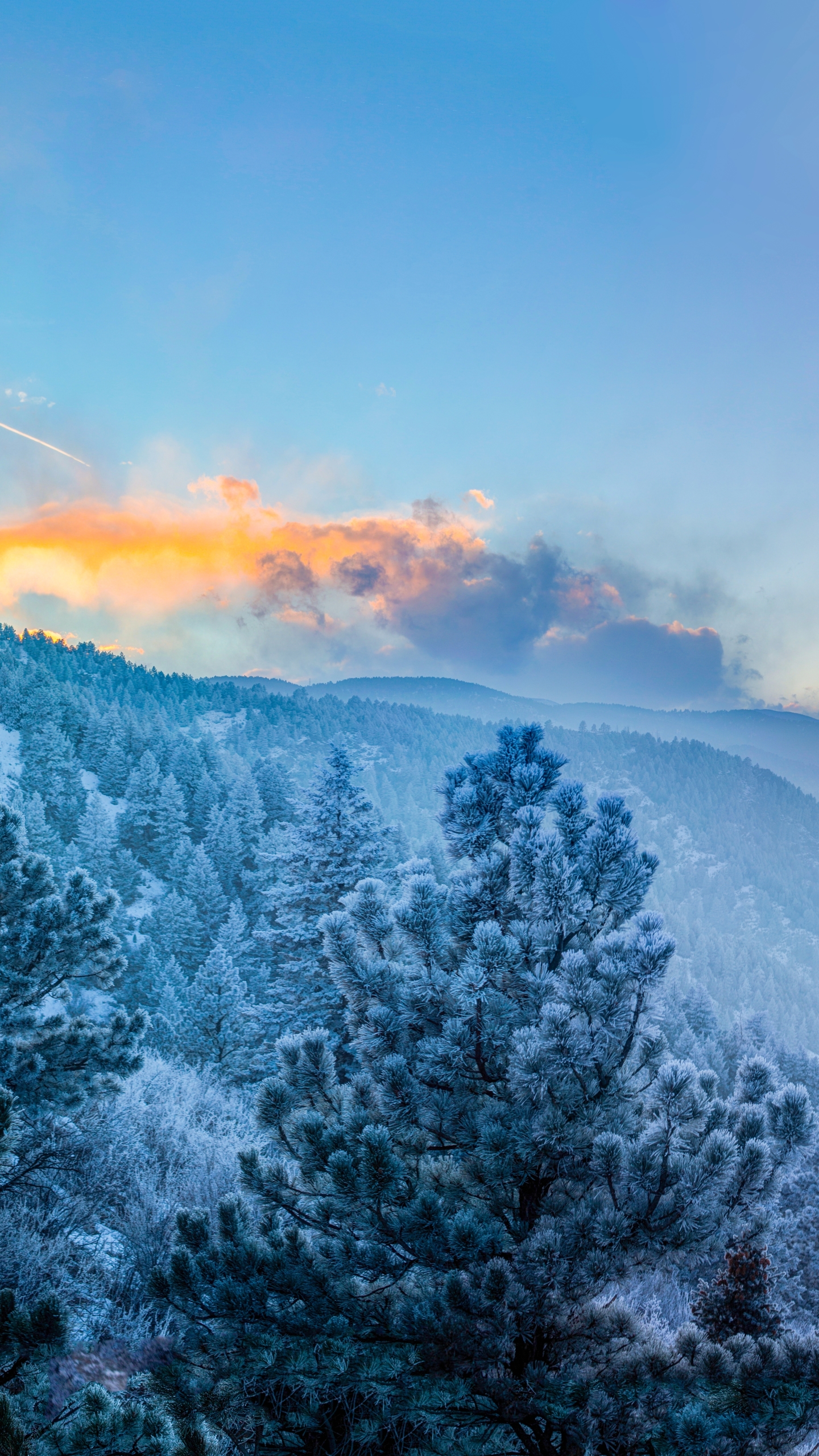 Скачать картинку Пейзаж, Зима, Гора, Лес, Туман, Ландшафт, Земля/природа в телефон бесплатно.