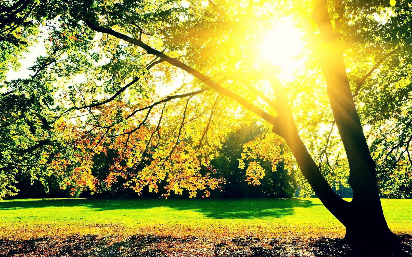 Téléchargez des papiers peints mobile Terre/nature, Lever De Soleil gratuitement.