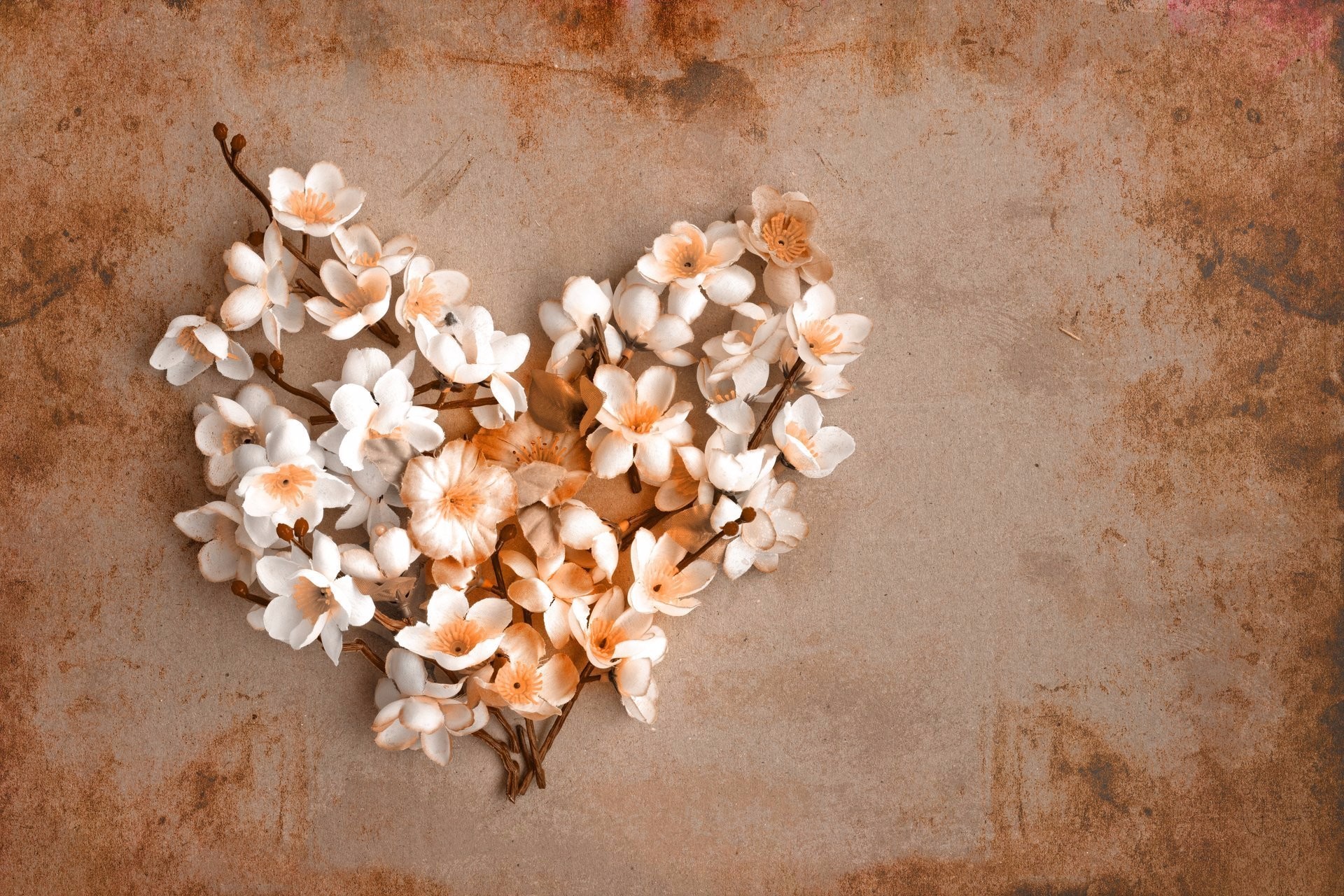 Download mobile wallpaper Flower, Heart, Artistic, White Flower, Heart Shaped for free.