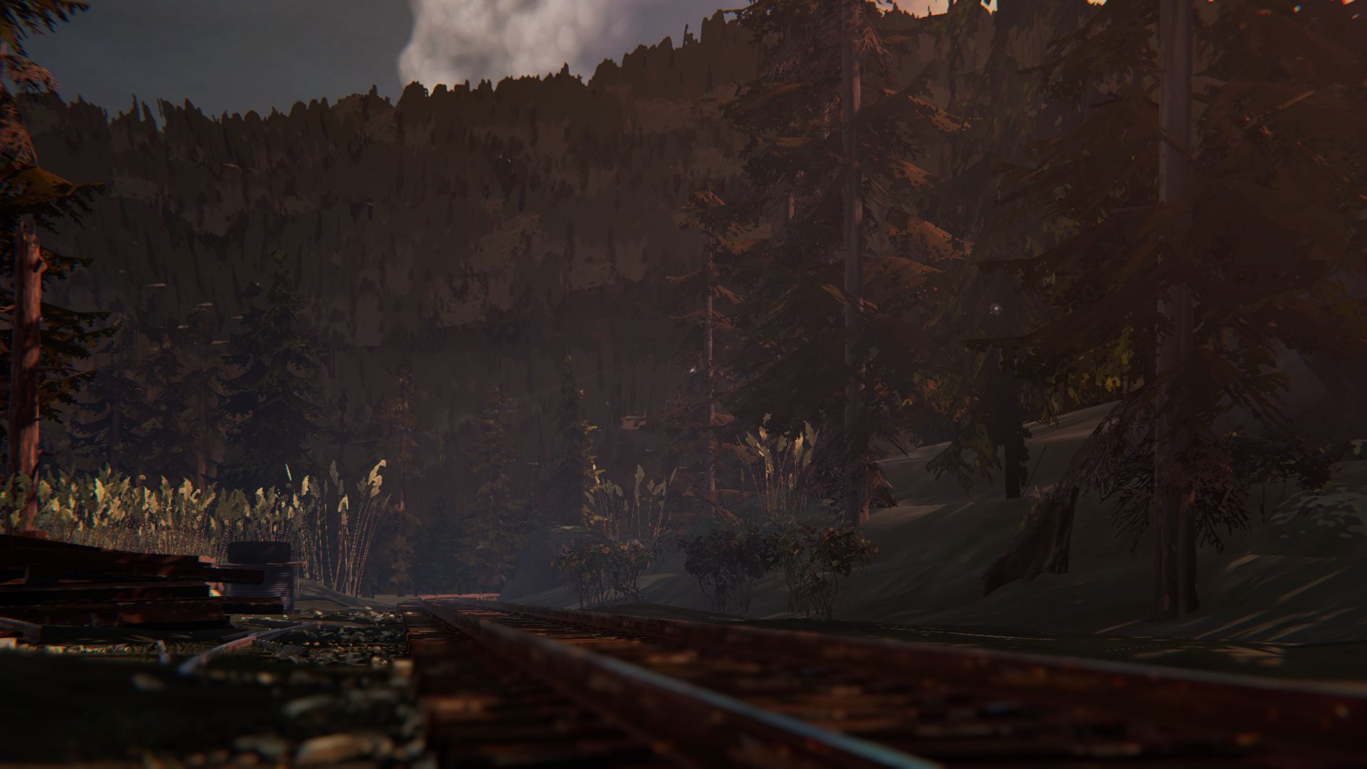Download mobile wallpaper Forest, Railroad, Video Game, Life Is Strange, Life Is Strange: Before The Storm for free.