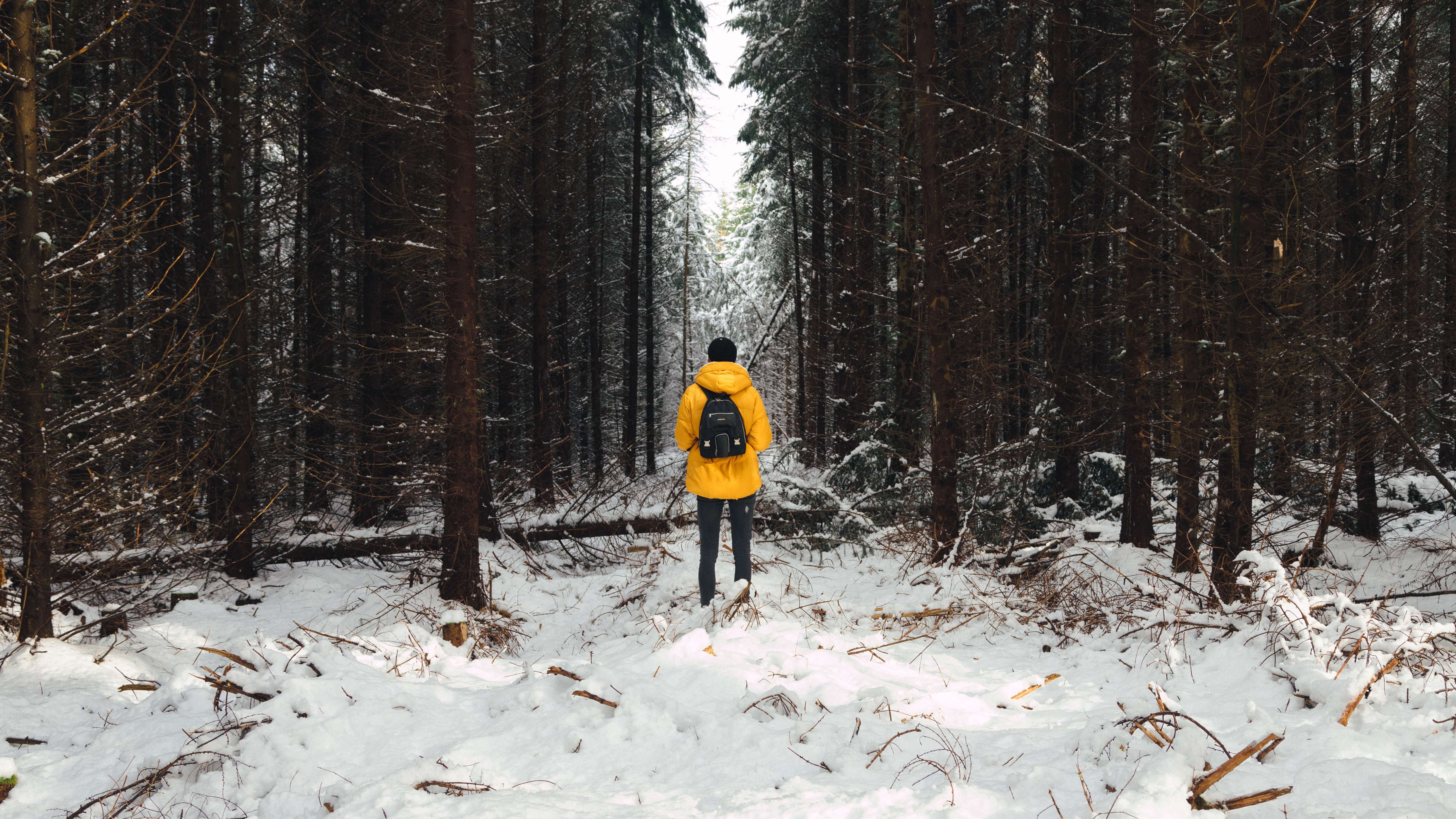 Laden Sie das Schnee, Mensch, Person, Bäume, Wald, Winter, Natur-Bild kostenlos auf Ihren PC-Desktop herunter