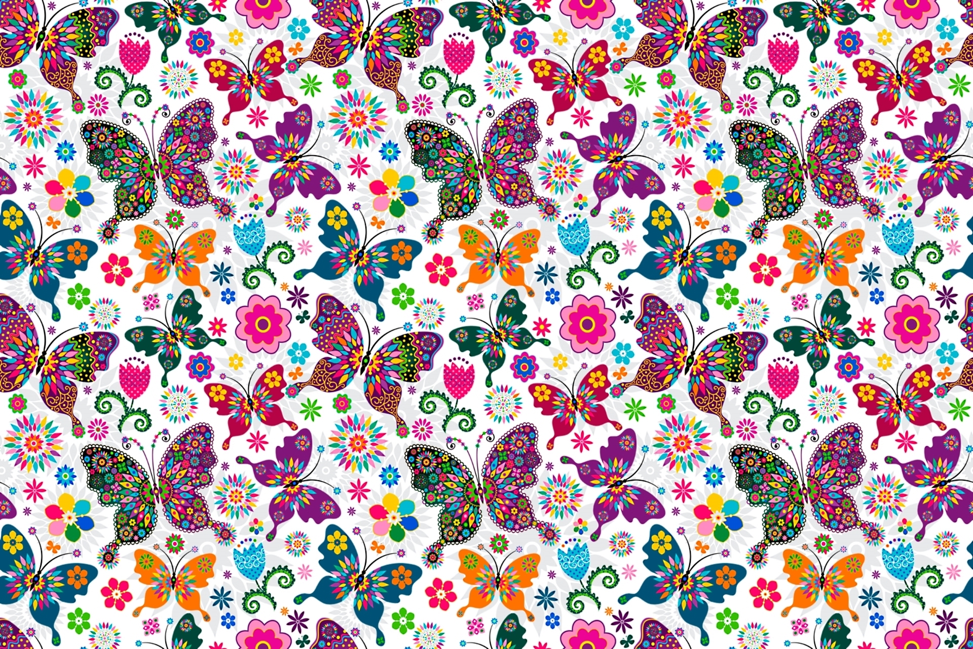 Download mobile wallpaper Flower, Pattern, Colors, Butterfly, Design, Colorful, Artistic for free.