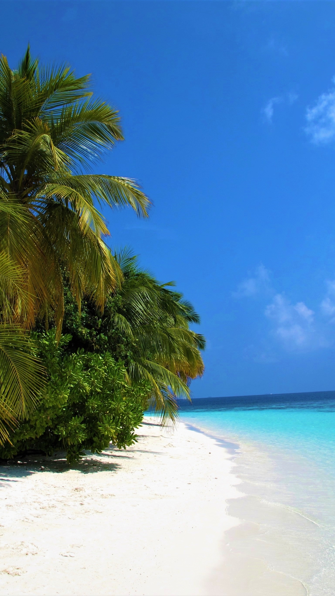Скачать картинку Море, Пляж, Пальмы, Океан, Пальма, Земля, Тропический, Мальдивы, Земля/природа в телефон бесплатно.