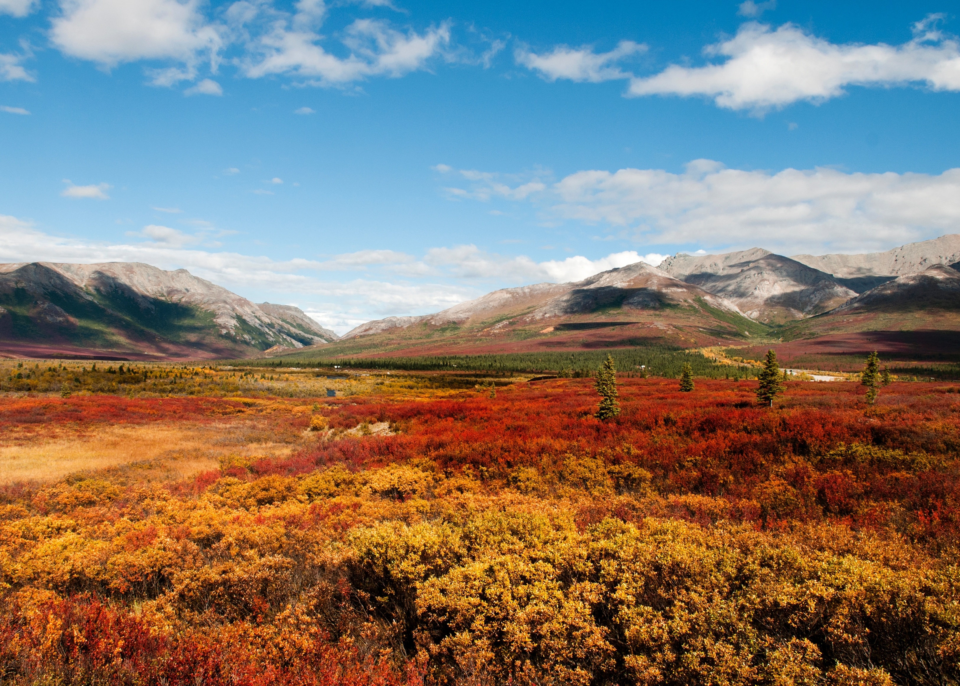 無料モバイル壁紙風景, 自然, 秋, 山, 地球, 国立公園, アラスカをダウンロードします。