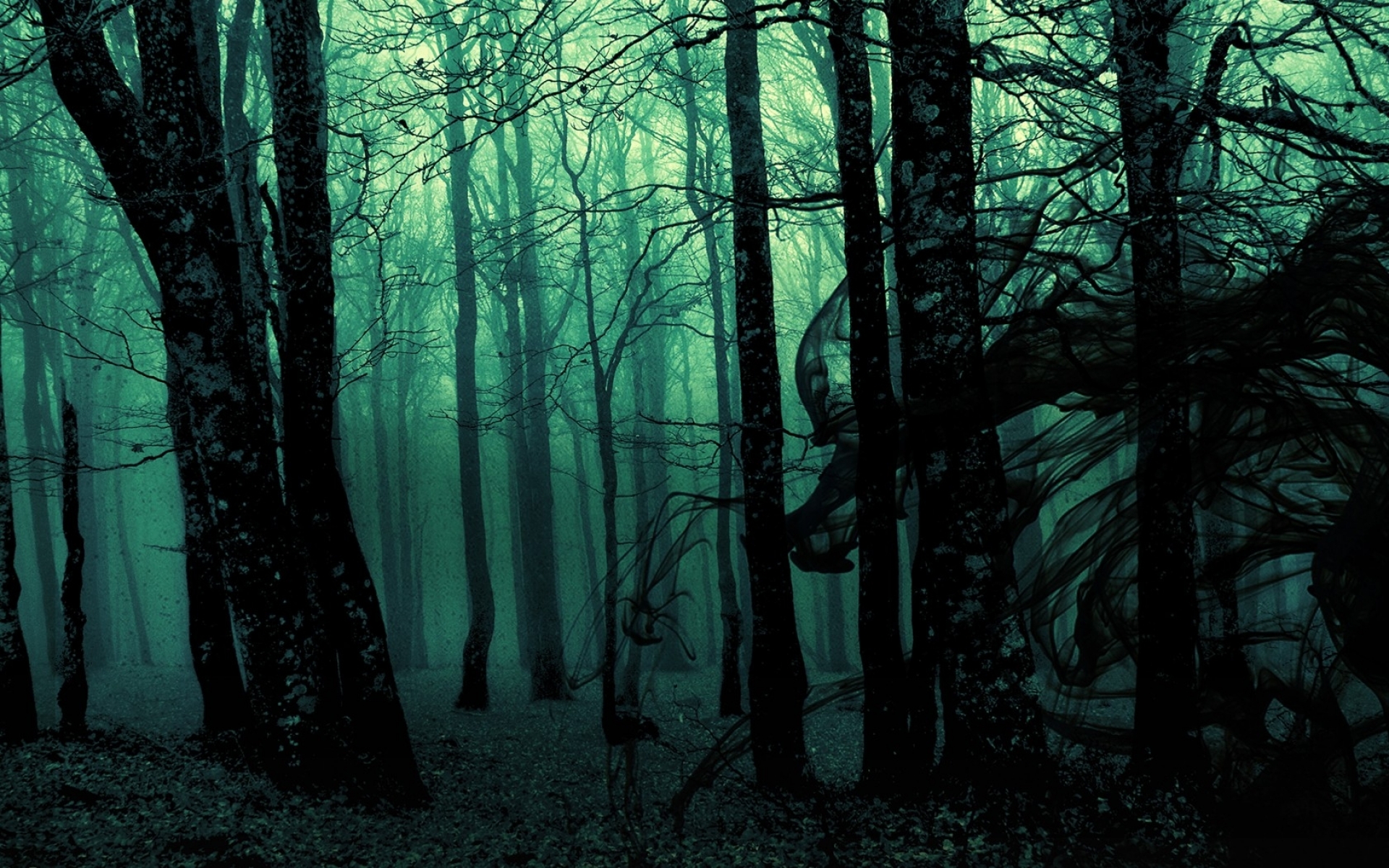 Download mobile wallpaper Dark, Forest for free.