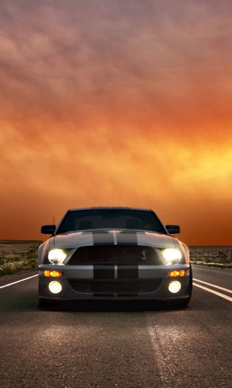 vehicles, ford mustang shelby cobra gt 500, ford HD wallpaper