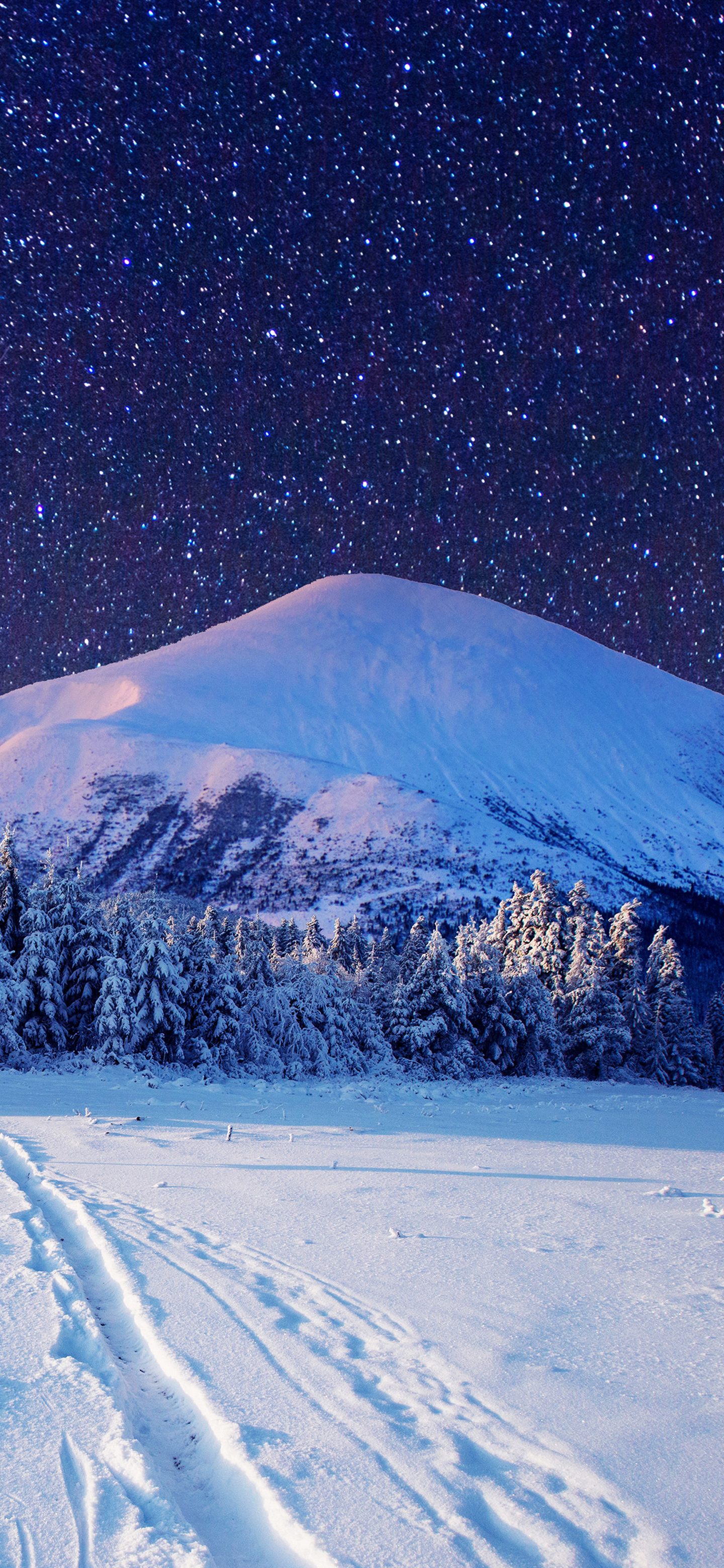 Download mobile wallpaper Winter, Sky, Snow, Starry Sky, Earth for free.