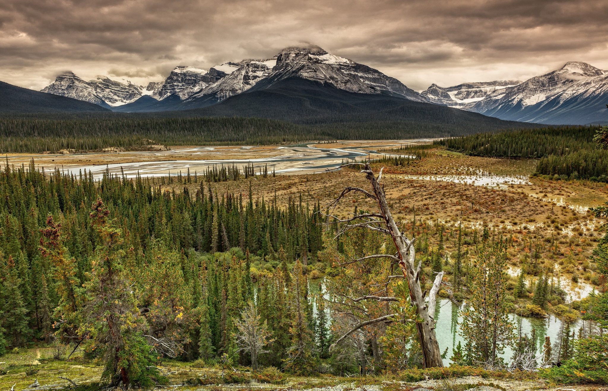 Descarga gratis la imagen Paisaje, Naturaleza, Montaña, Bosque, Tierra/naturaleza en el escritorio de tu PC