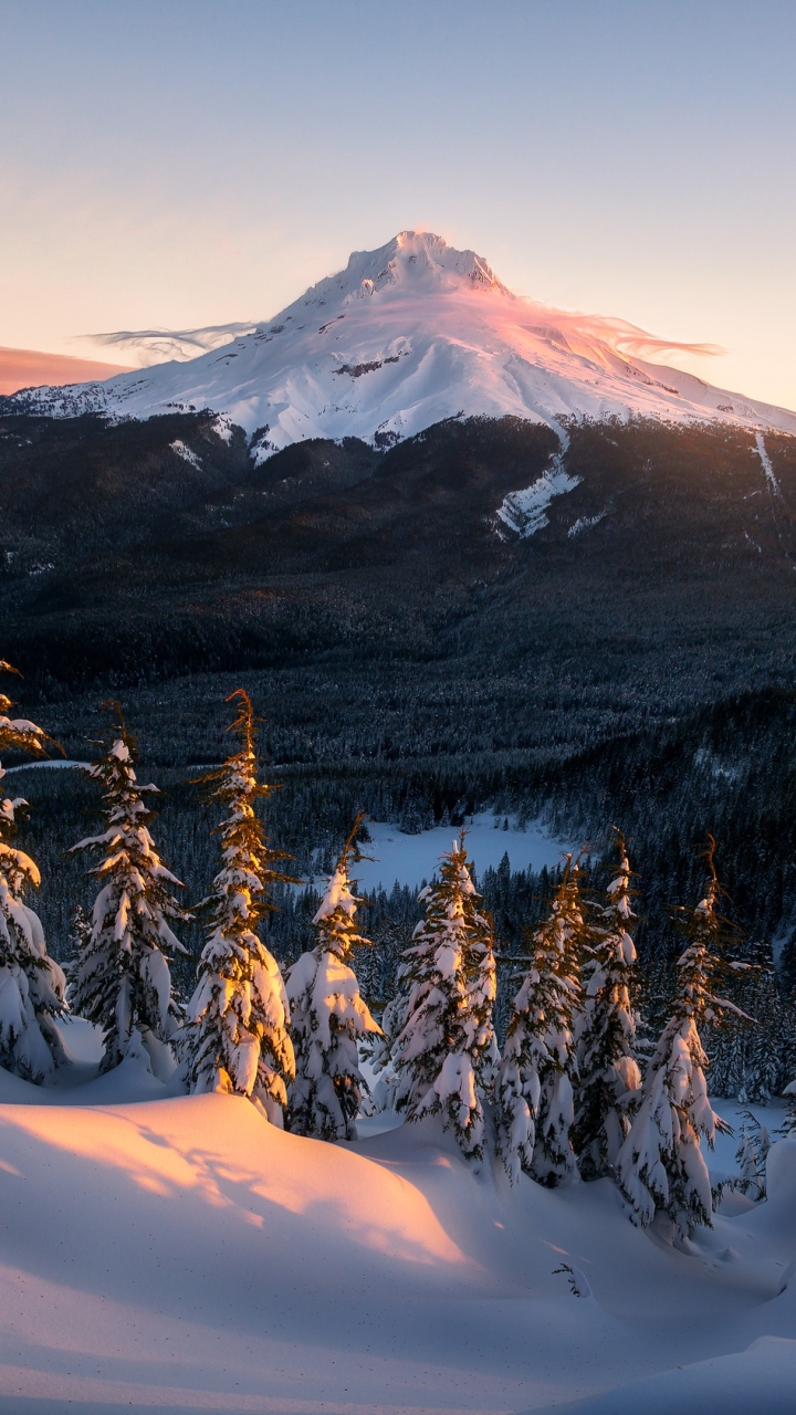 Download mobile wallpaper Landscape, Winter, Nature, Mountains, Snow, Usa, Mountain, Forest, Earth, Mount Rainier for free.