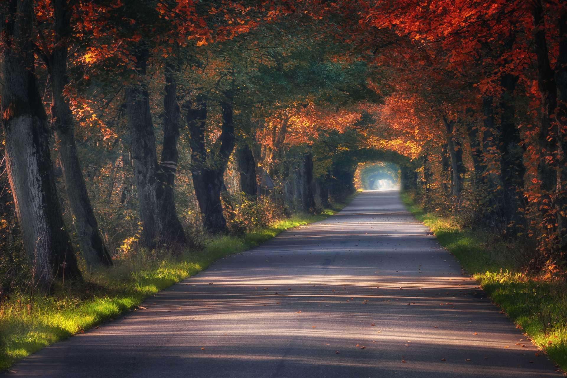 Free download wallpaper Road, Tree, Fall, Man Made, Tree Lined on your PC desktop