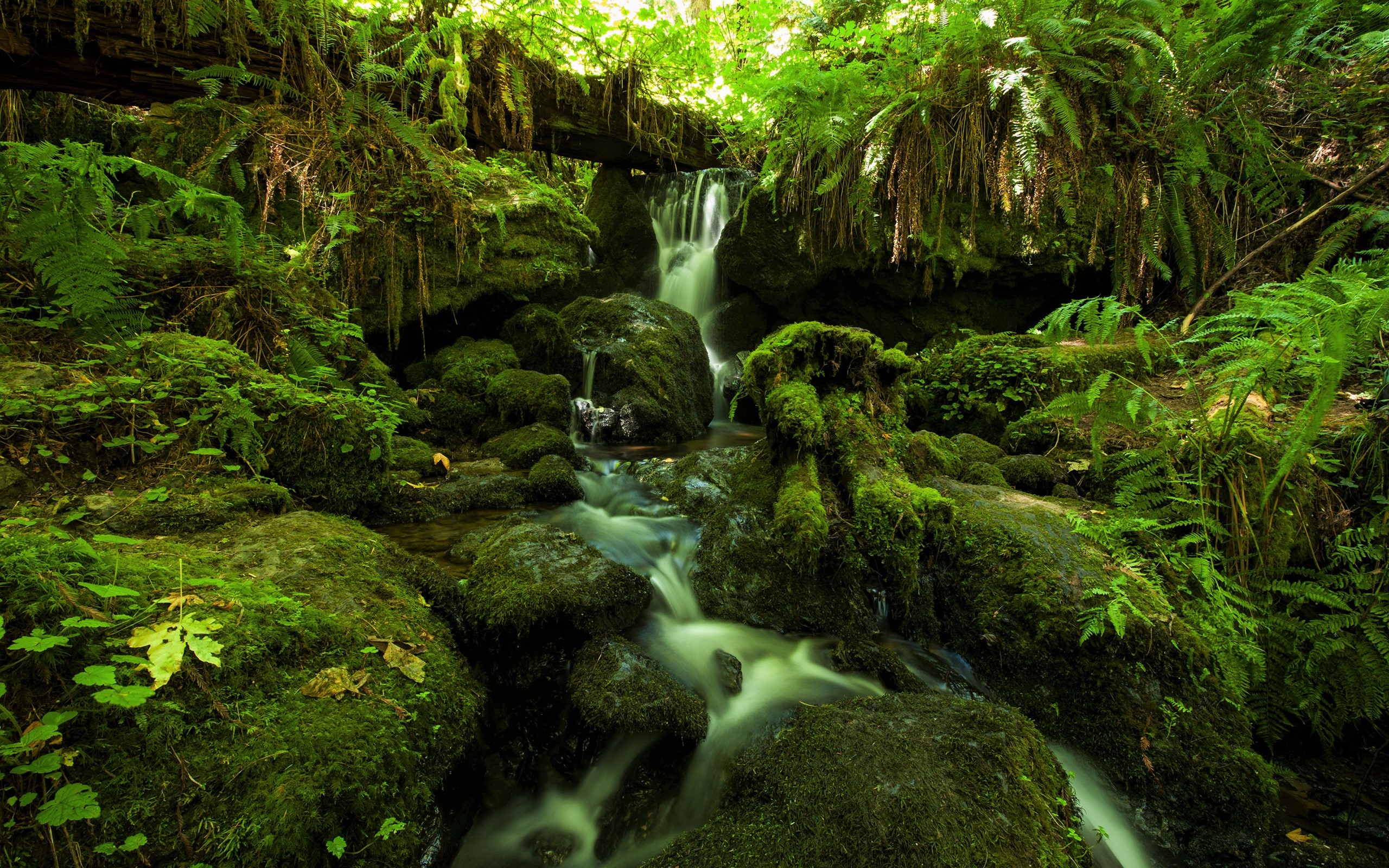 Free download wallpaper Waterfalls, Waterfall, Earth, Stream, Jungle, Greenery on your PC desktop