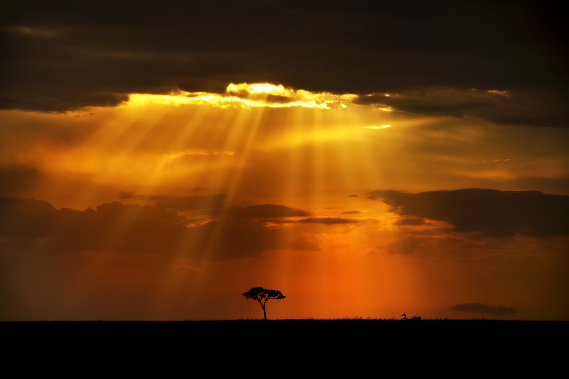 Laden Sie das Sonnenuntergang, Erde/natur-Bild kostenlos auf Ihren PC-Desktop herunter