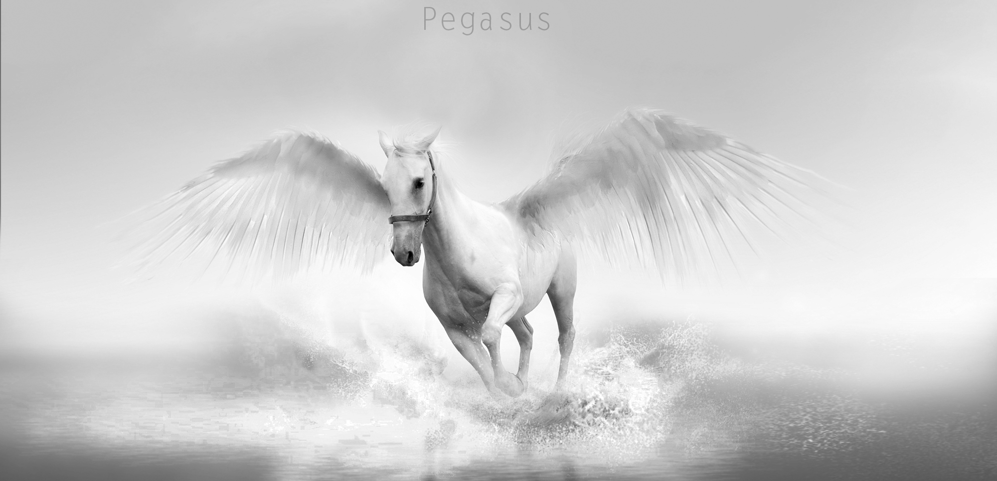 Free download wallpaper Fantasy, Pegasus, Fantasy Animals on your PC desktop