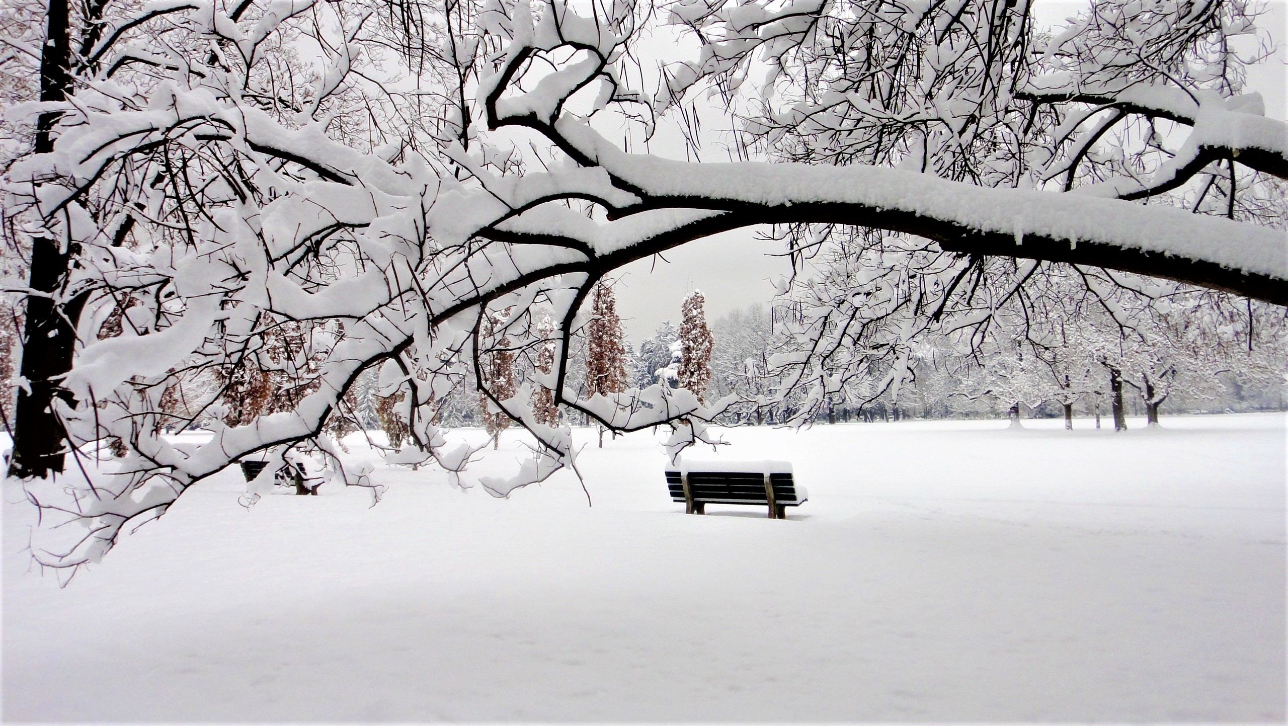 Скачать обои бесплатно Зима, Снег, Парк, Земля, Скамейка, Фотографии картинка на рабочий стол ПК