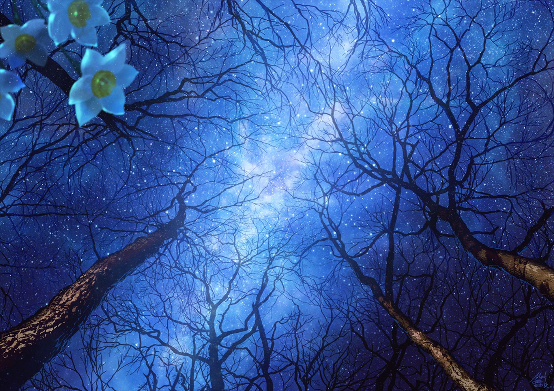 Free download wallpaper Anime, Flower, Forest, Starry Sky on your PC desktop