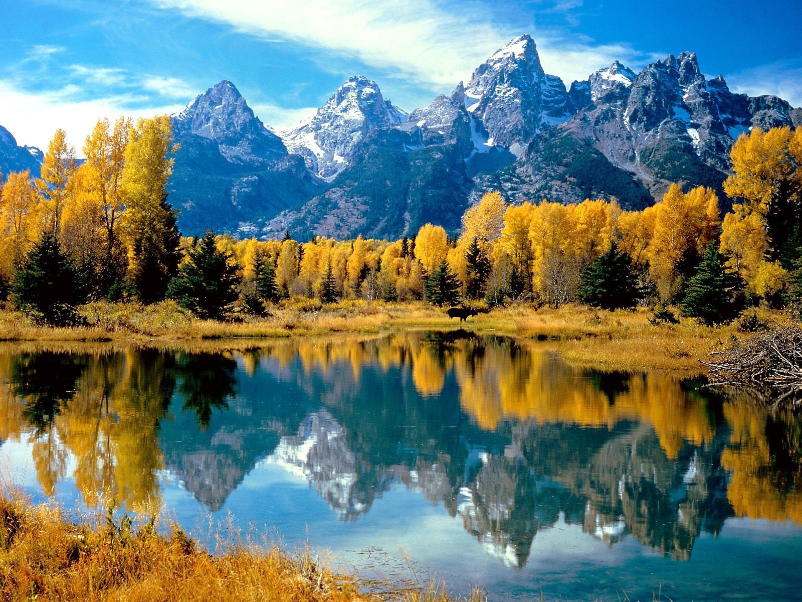 wyoming, autumn, nature, trees, lake, reflection, forest, national park