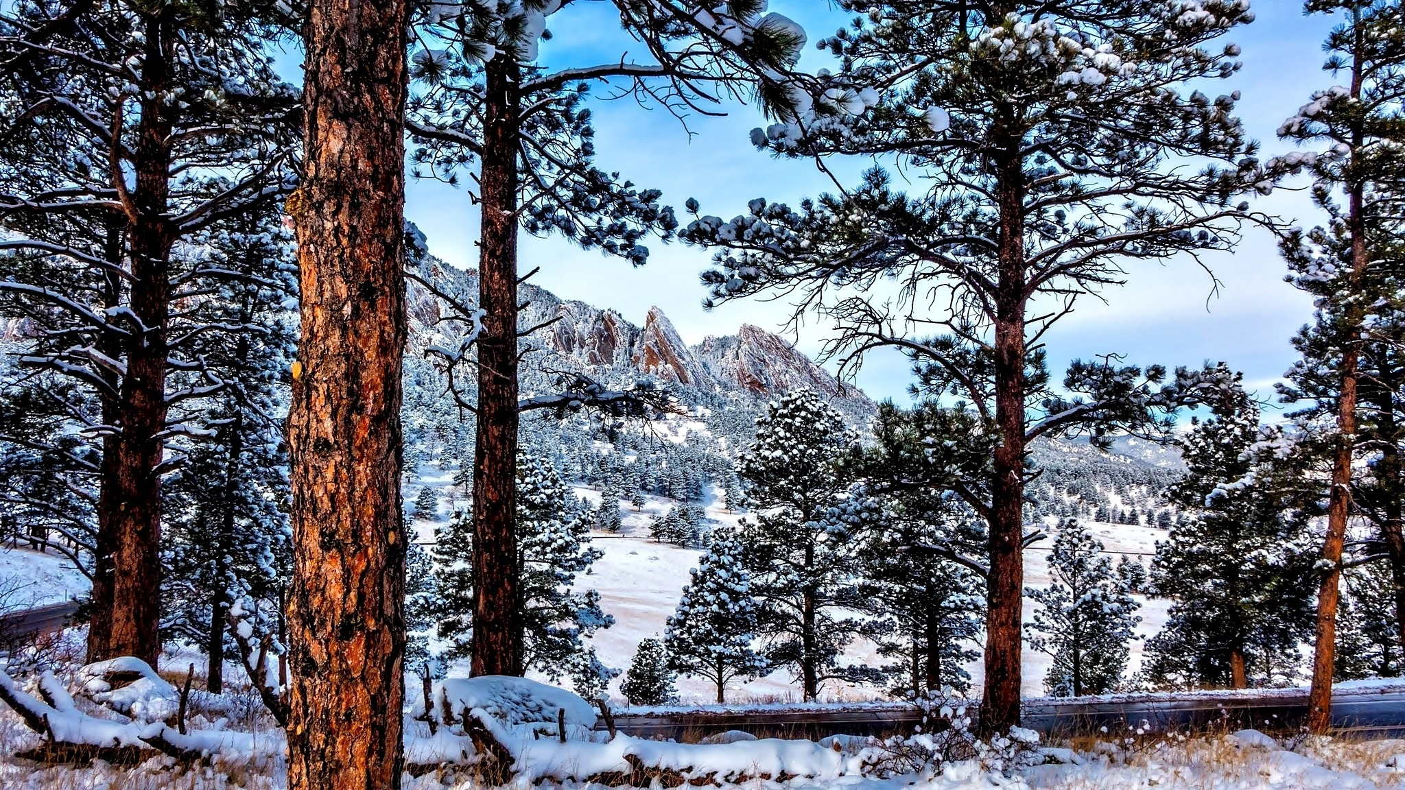 PCデスクトップに風景, 冬, 木, 雪, 山, 地球画像を無料でダウンロード