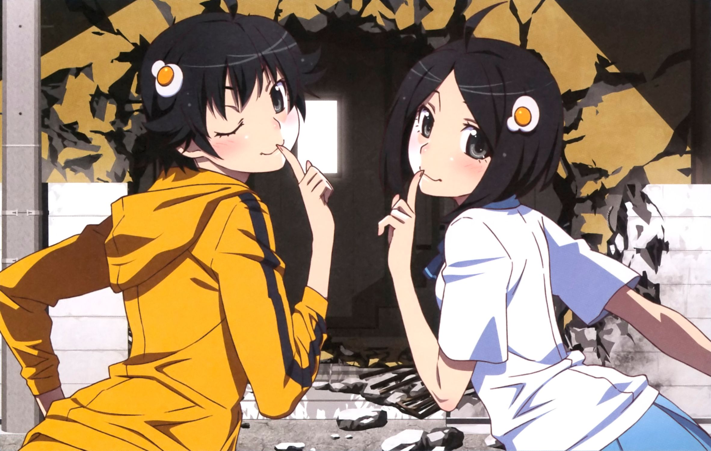 Baixar papel de parede para celular de Anime, Monogatari (Série), Karen Araragi, Tsukihi Araragi gratuito.